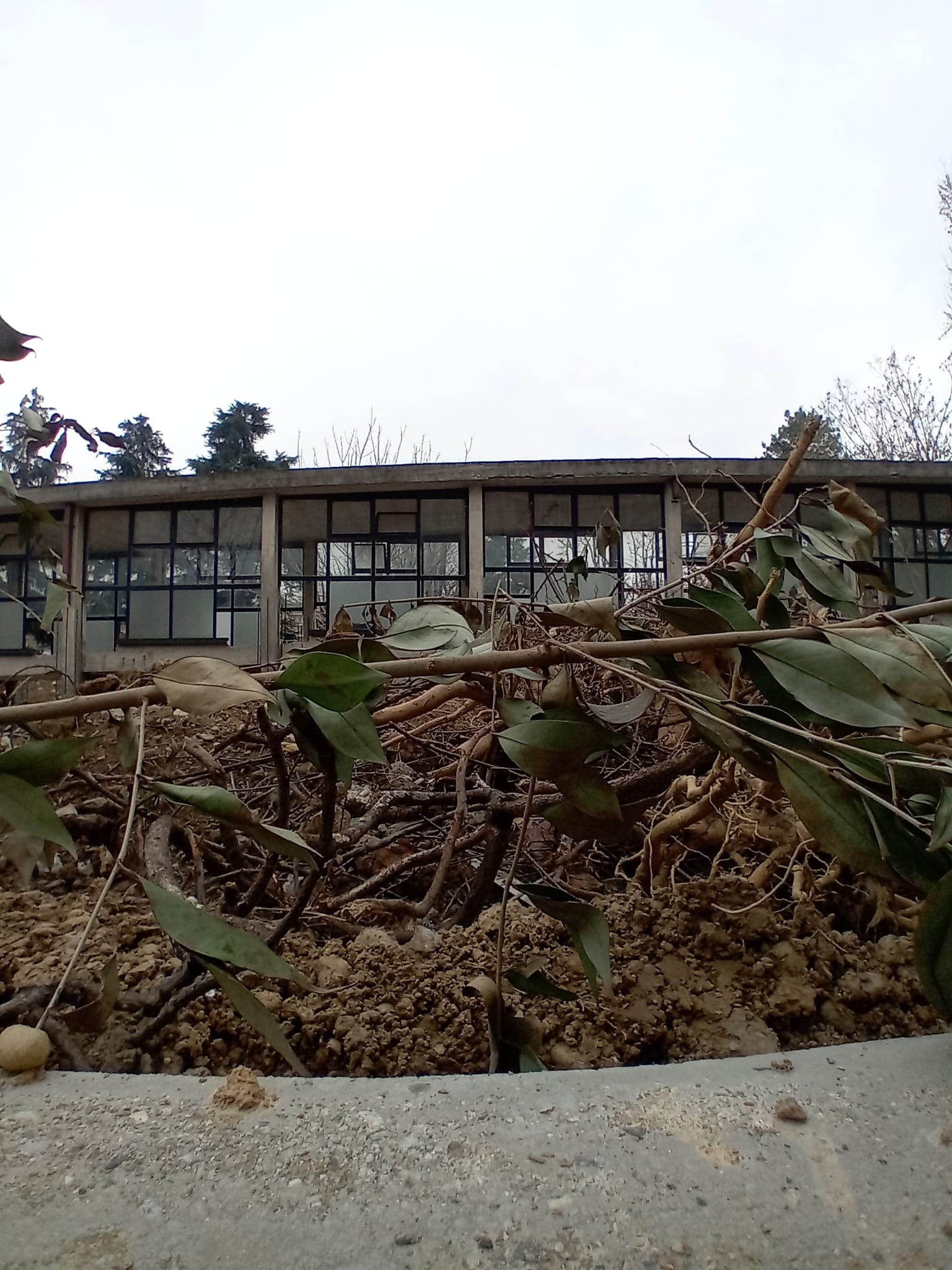 immagine di galleria