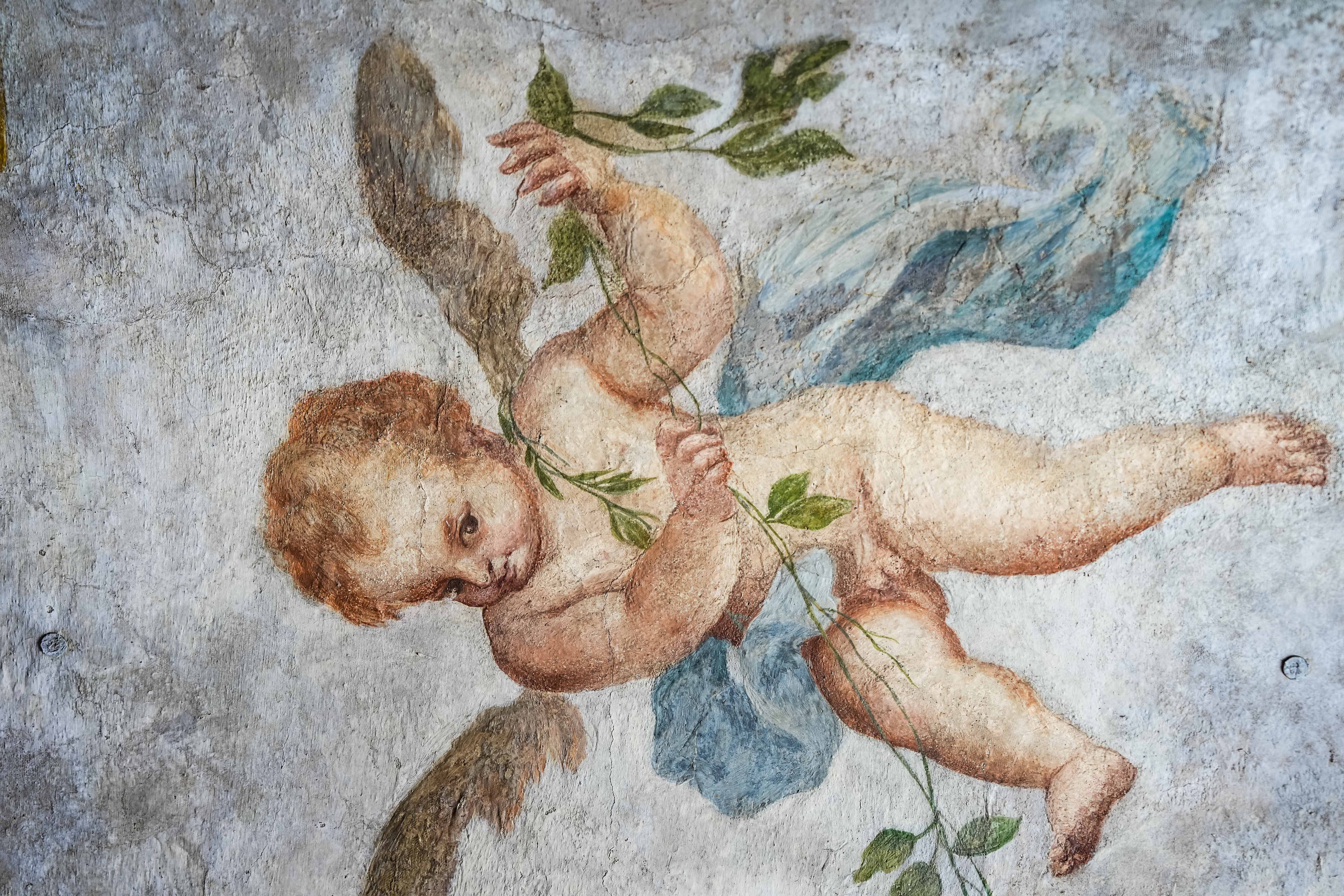 immagine di galleria
