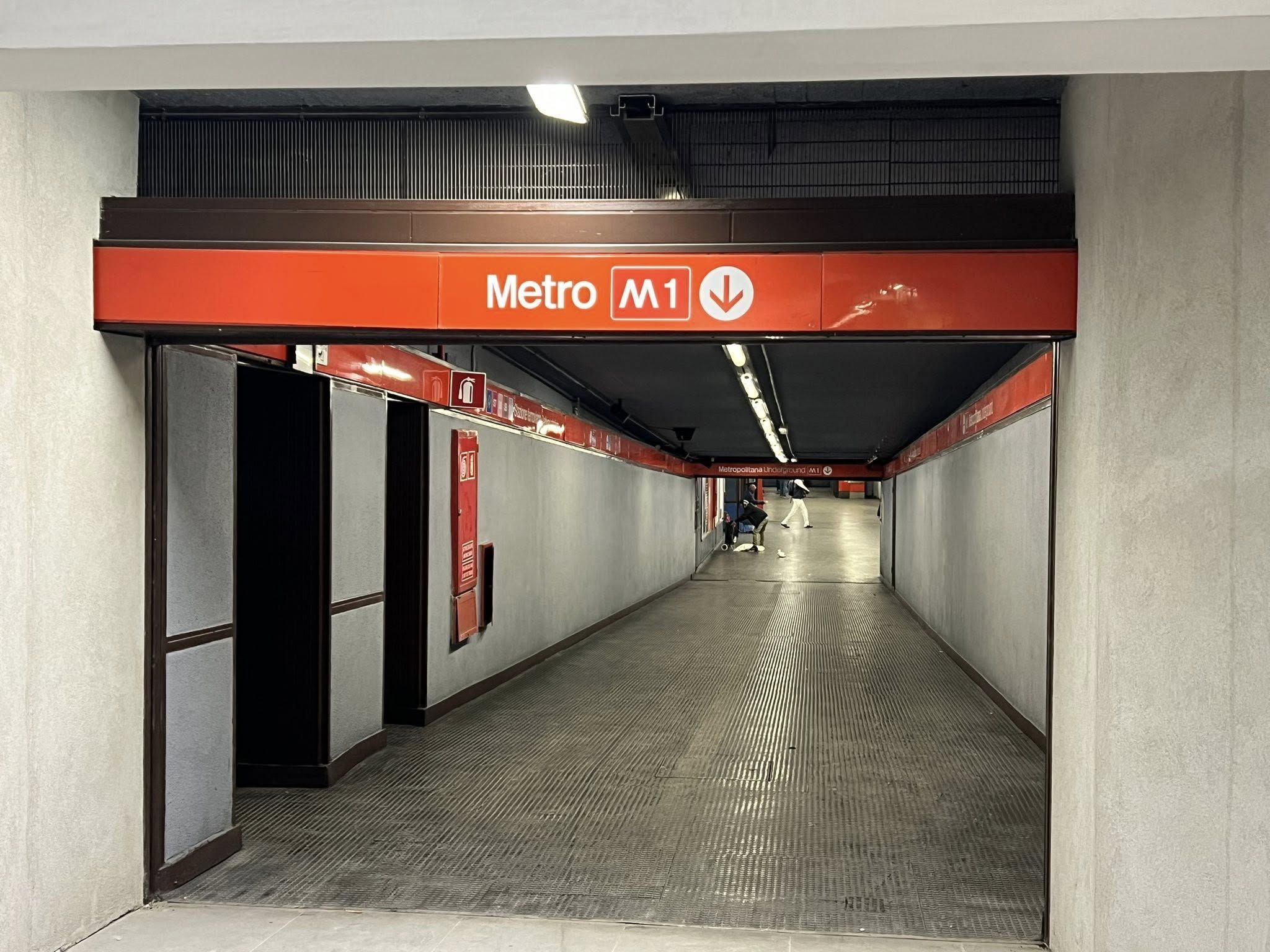 immagine di galleria