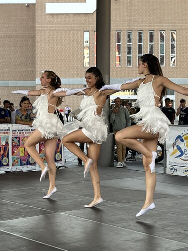 immagine di galleria 'Festa dello Sport, del Volontariato e della Salute 2026'