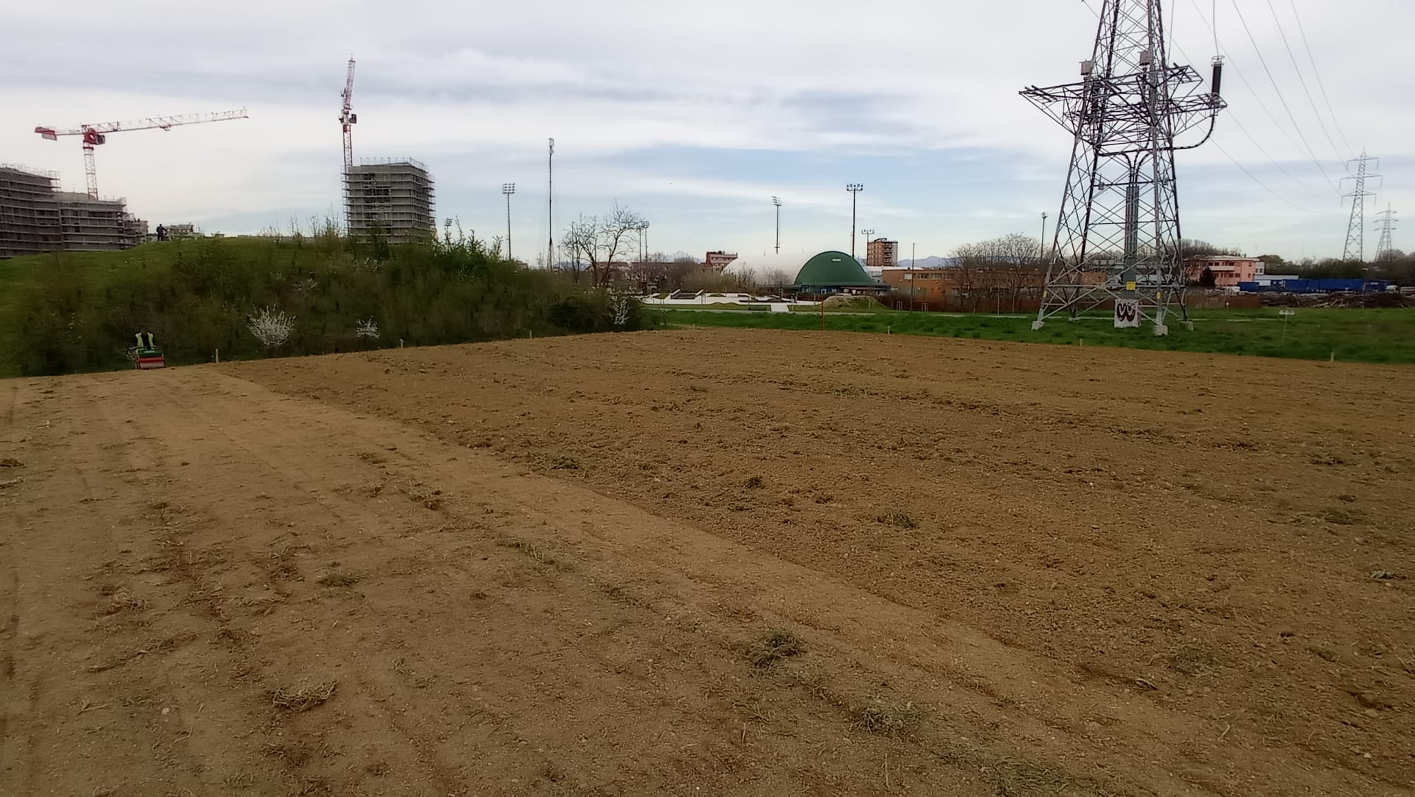 immagine di galleria 'Prato fiorito alla Bergamella'