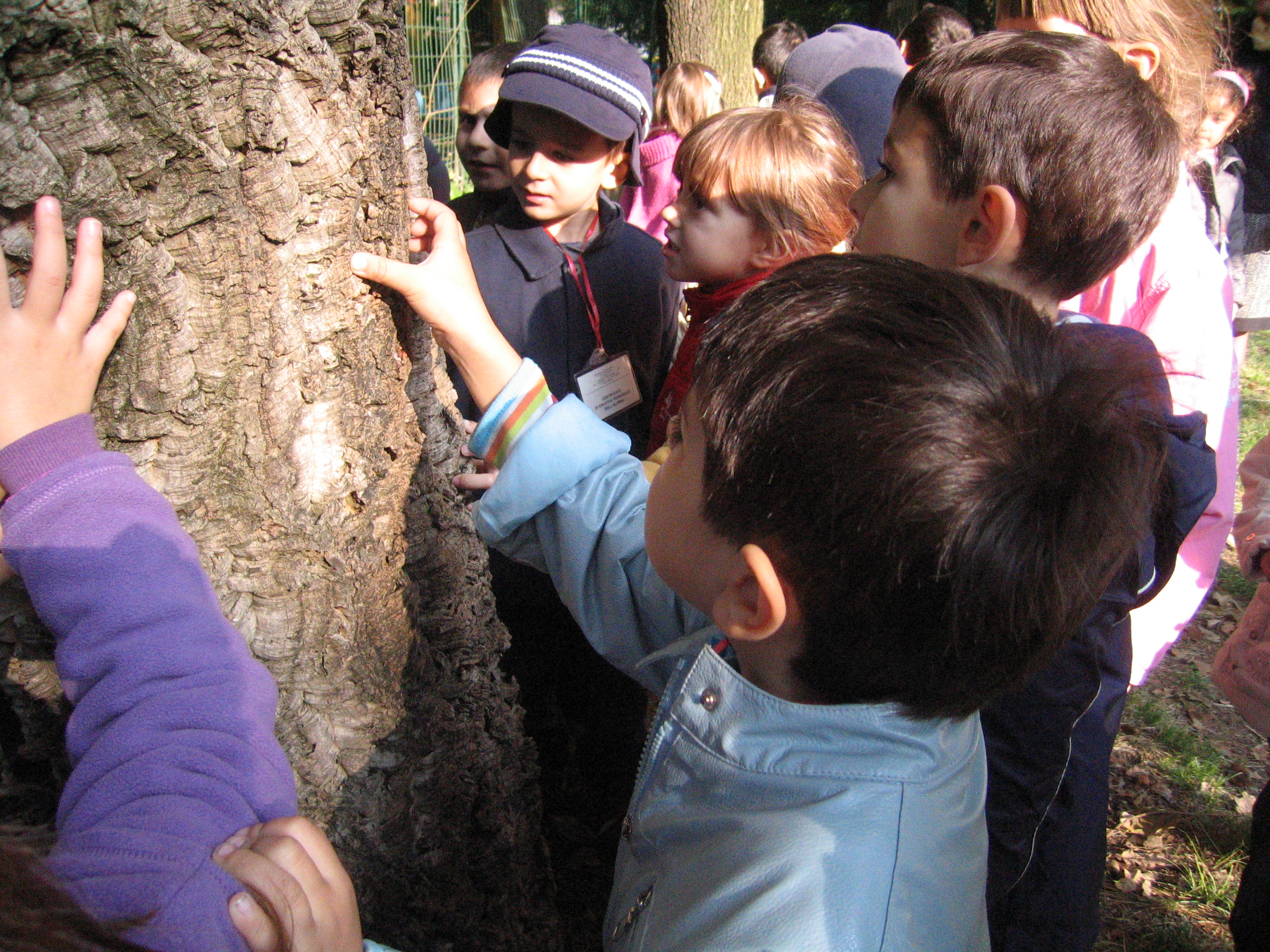 immagine di galleria 'GiocheriaLaboratori: le attività'
