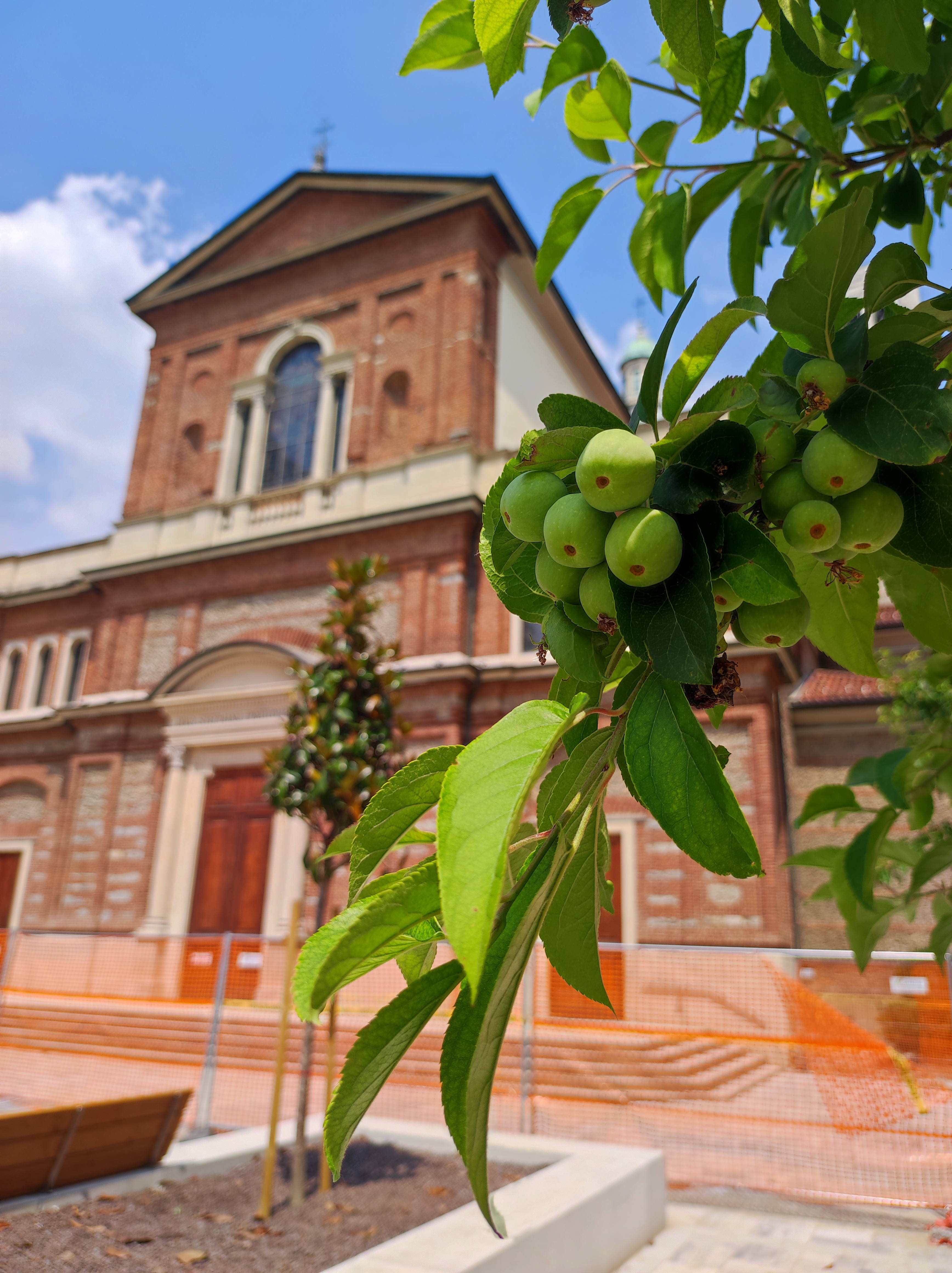 immagine di galleria