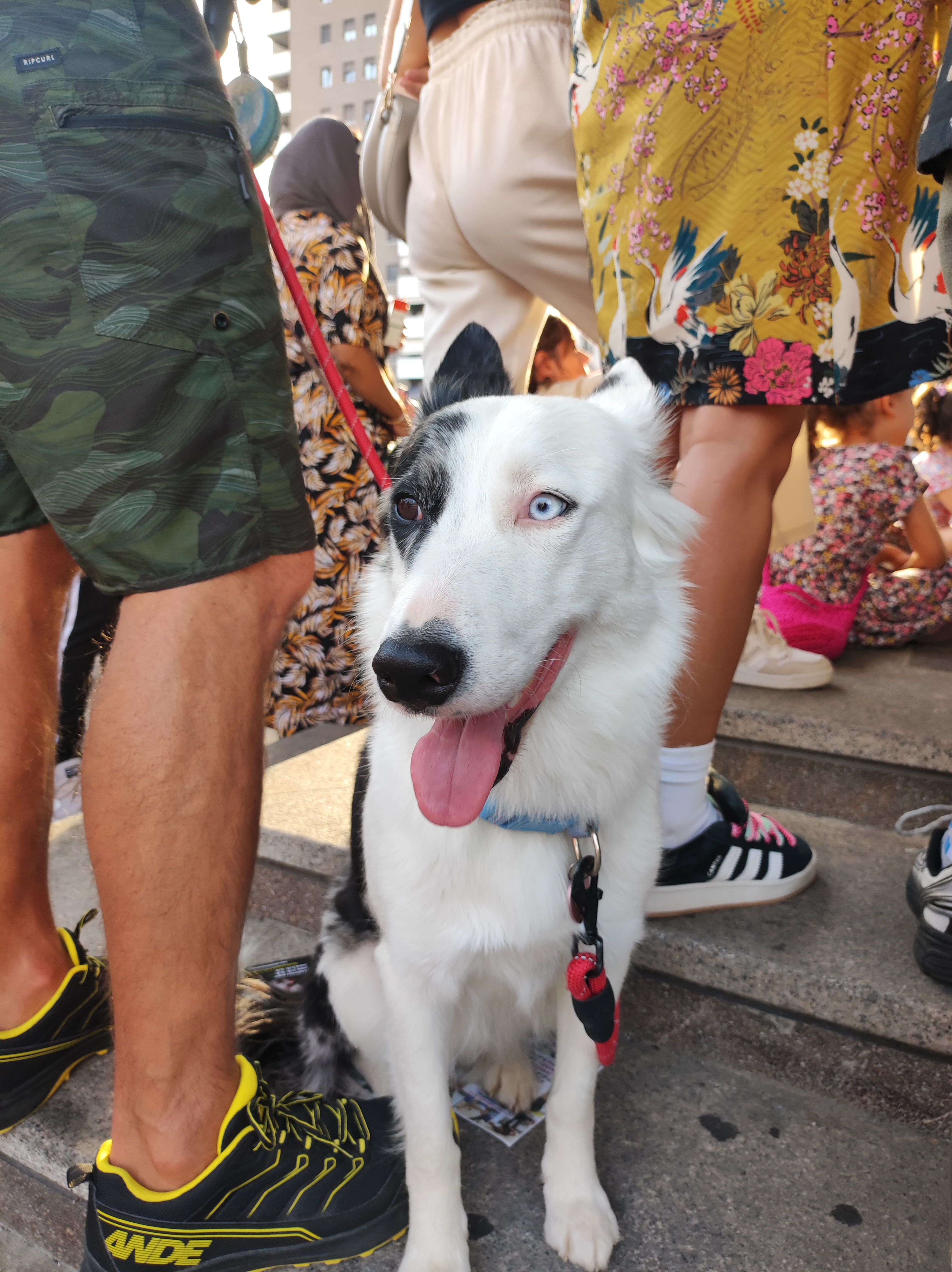 immagine di galleria