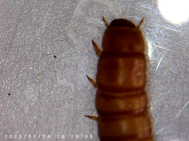 immagine di galleria