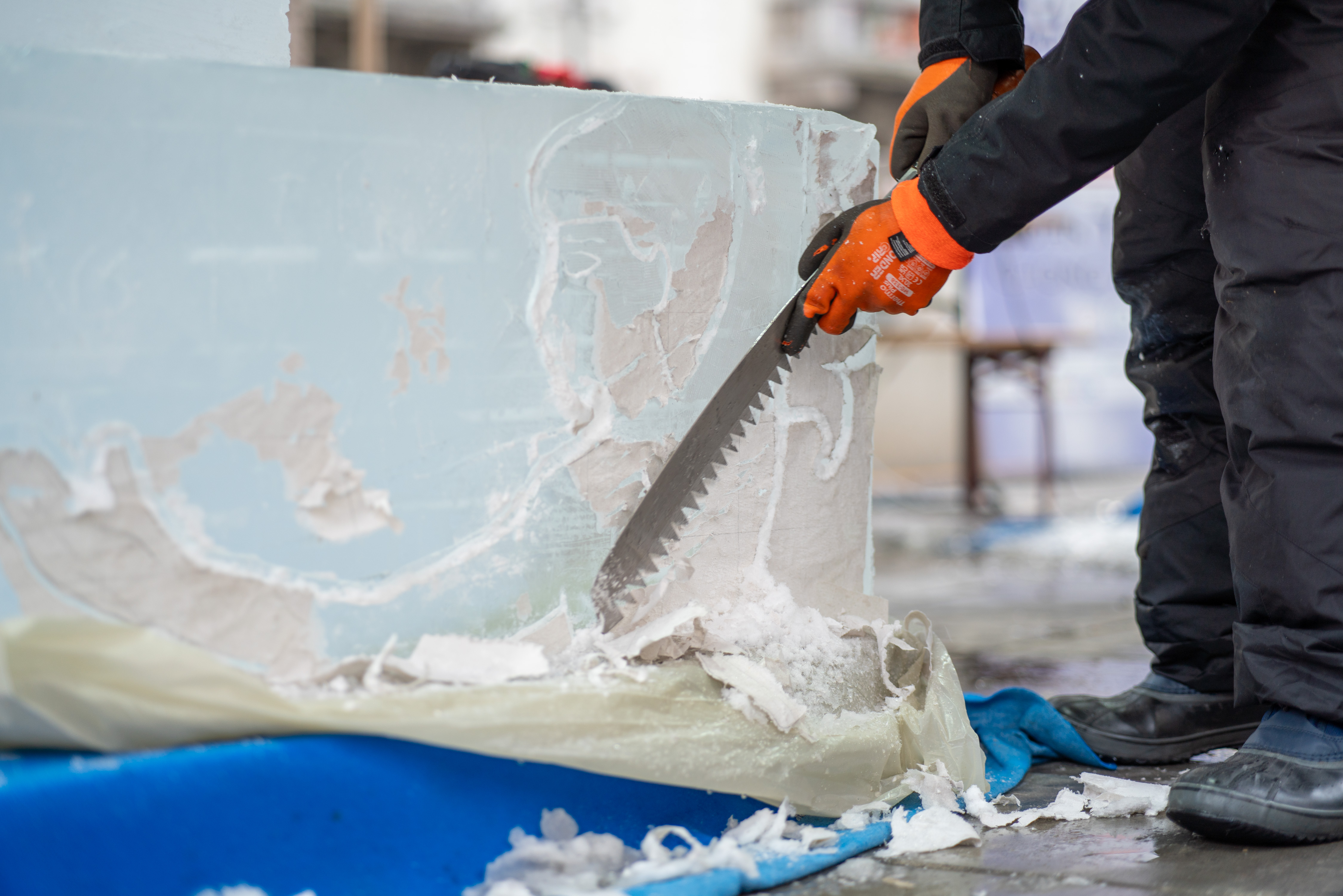 immagine di galleria