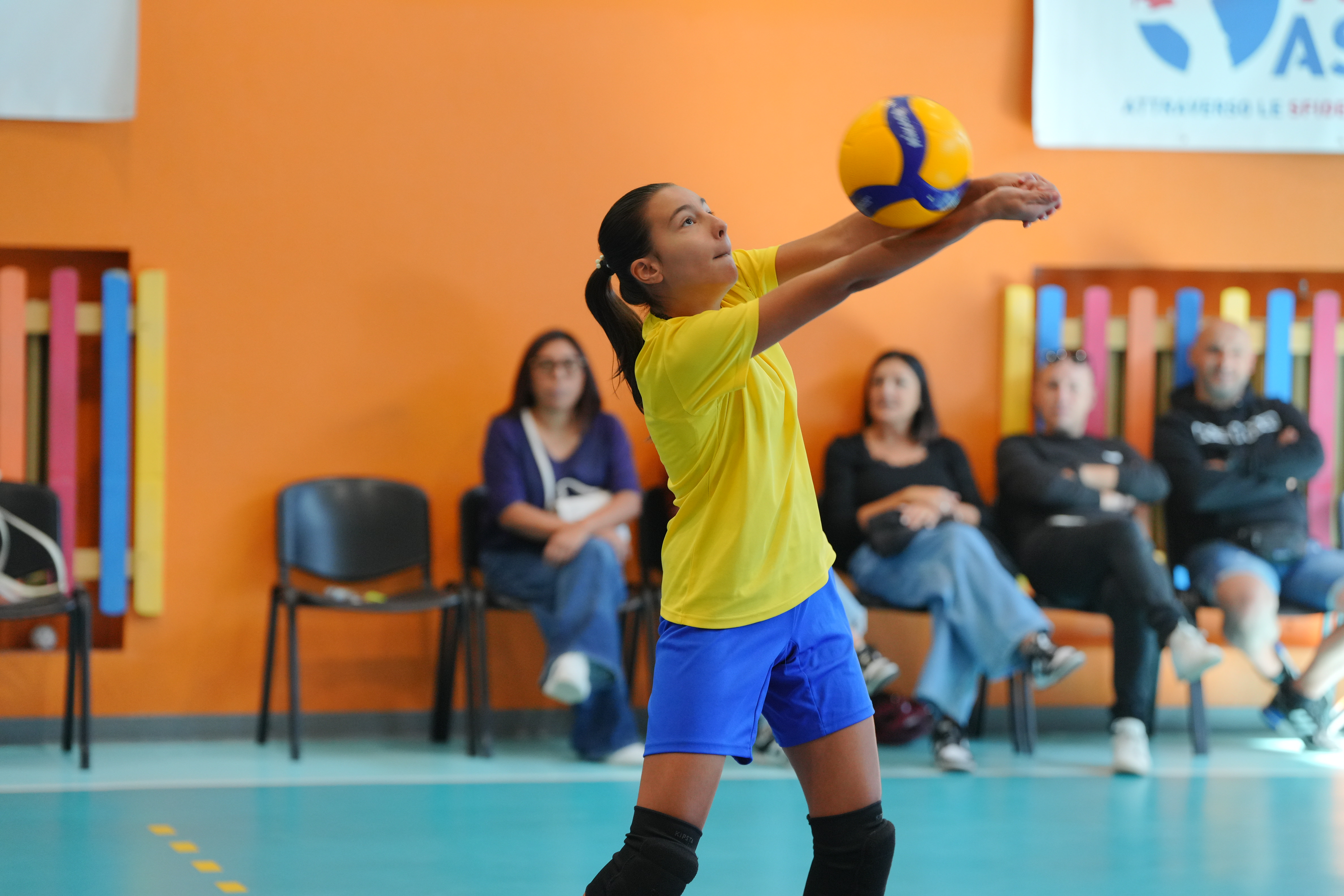 immagine di galleria