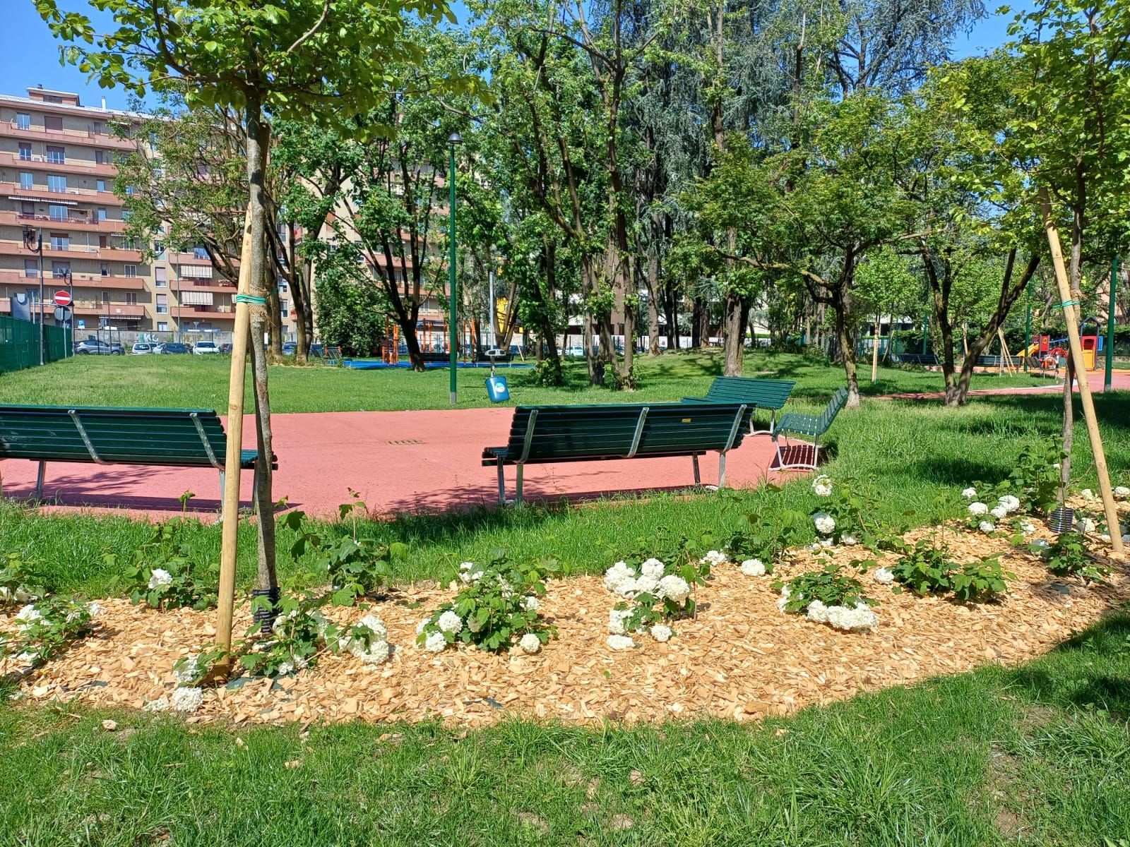 immagine di galleria