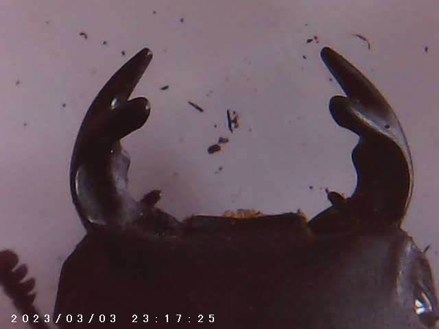 immagine di galleria