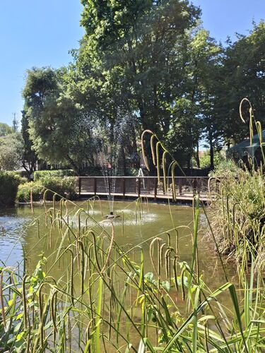 immagine di galleria 'Riqualificazione del giardino di villa Mylius - seconda parte'