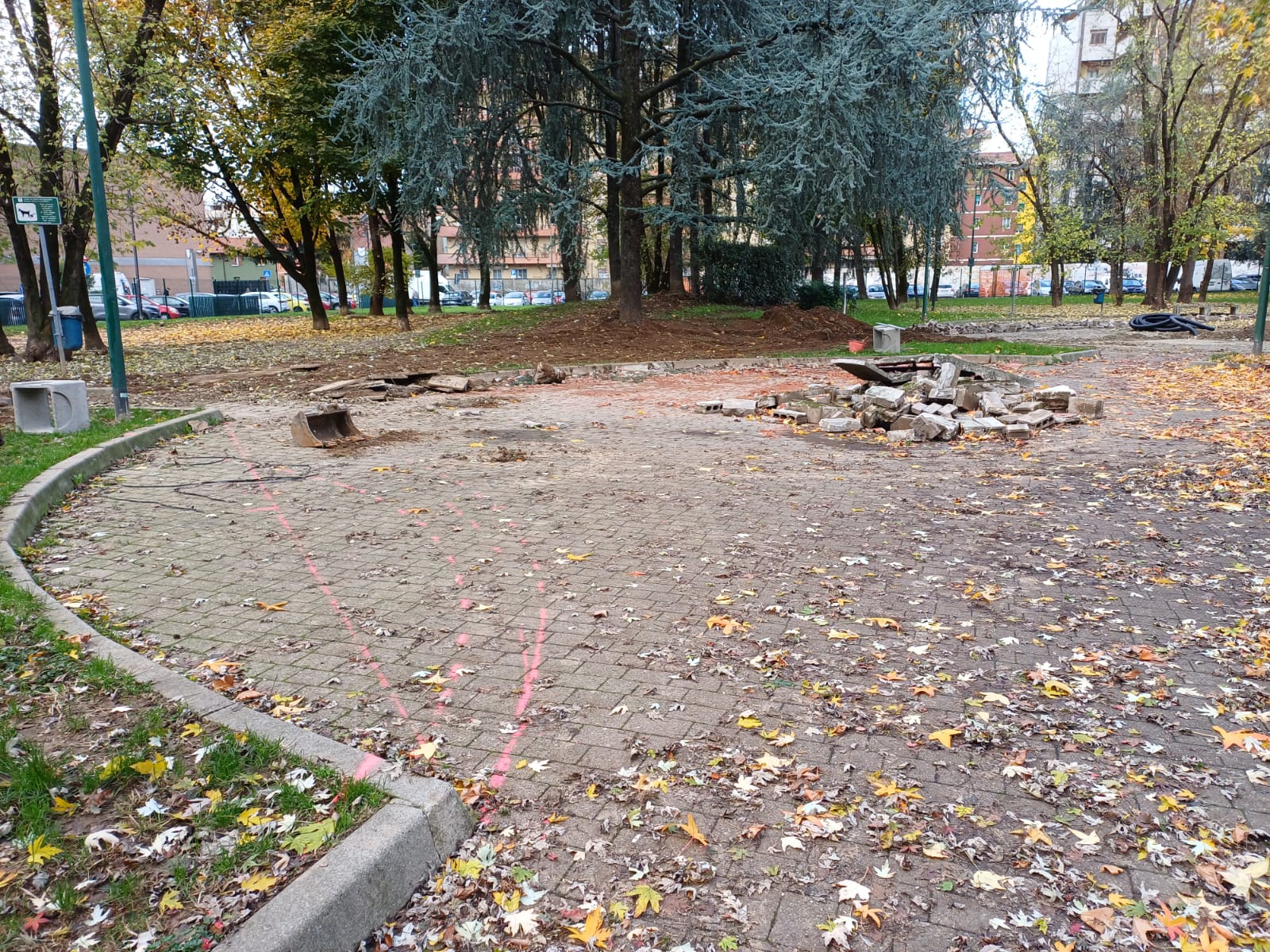 immagine di galleria