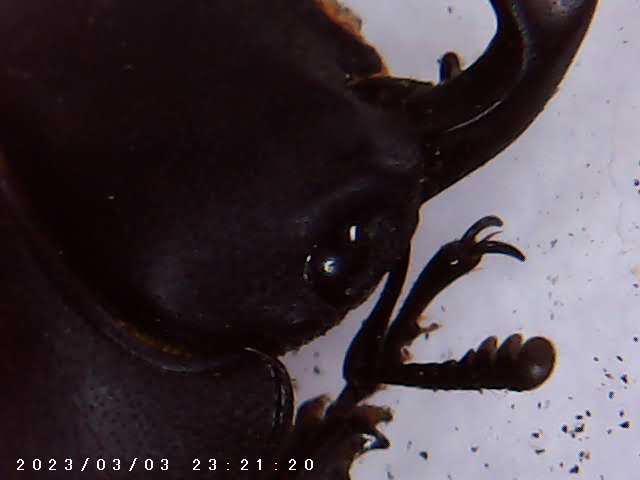 immagine di galleria