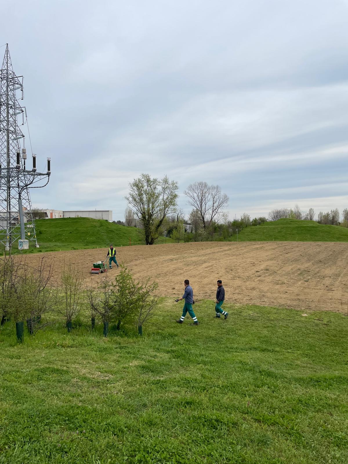 immagine di galleria 'Prato fiorito alla Bergamella'