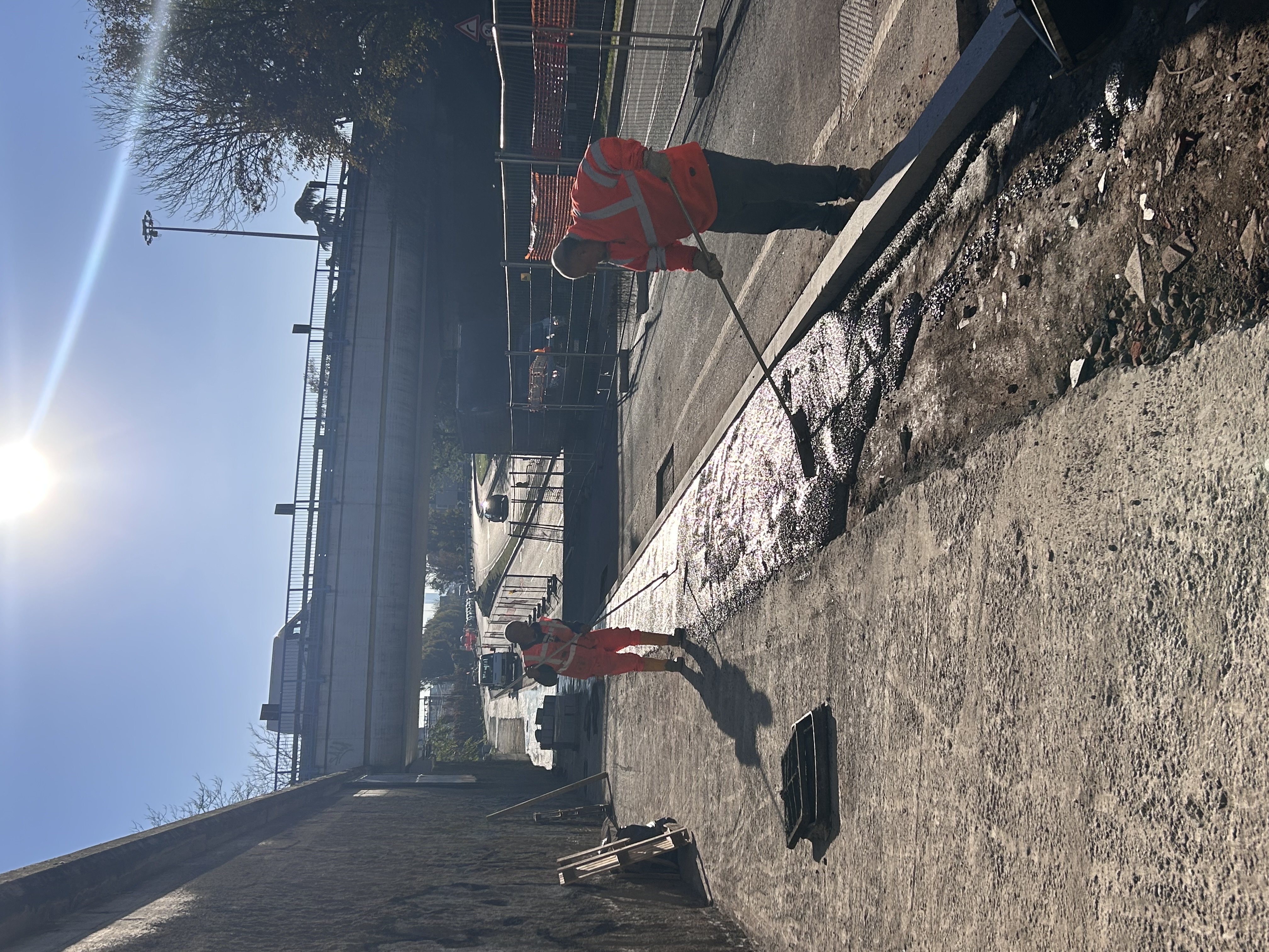 immagine di galleria