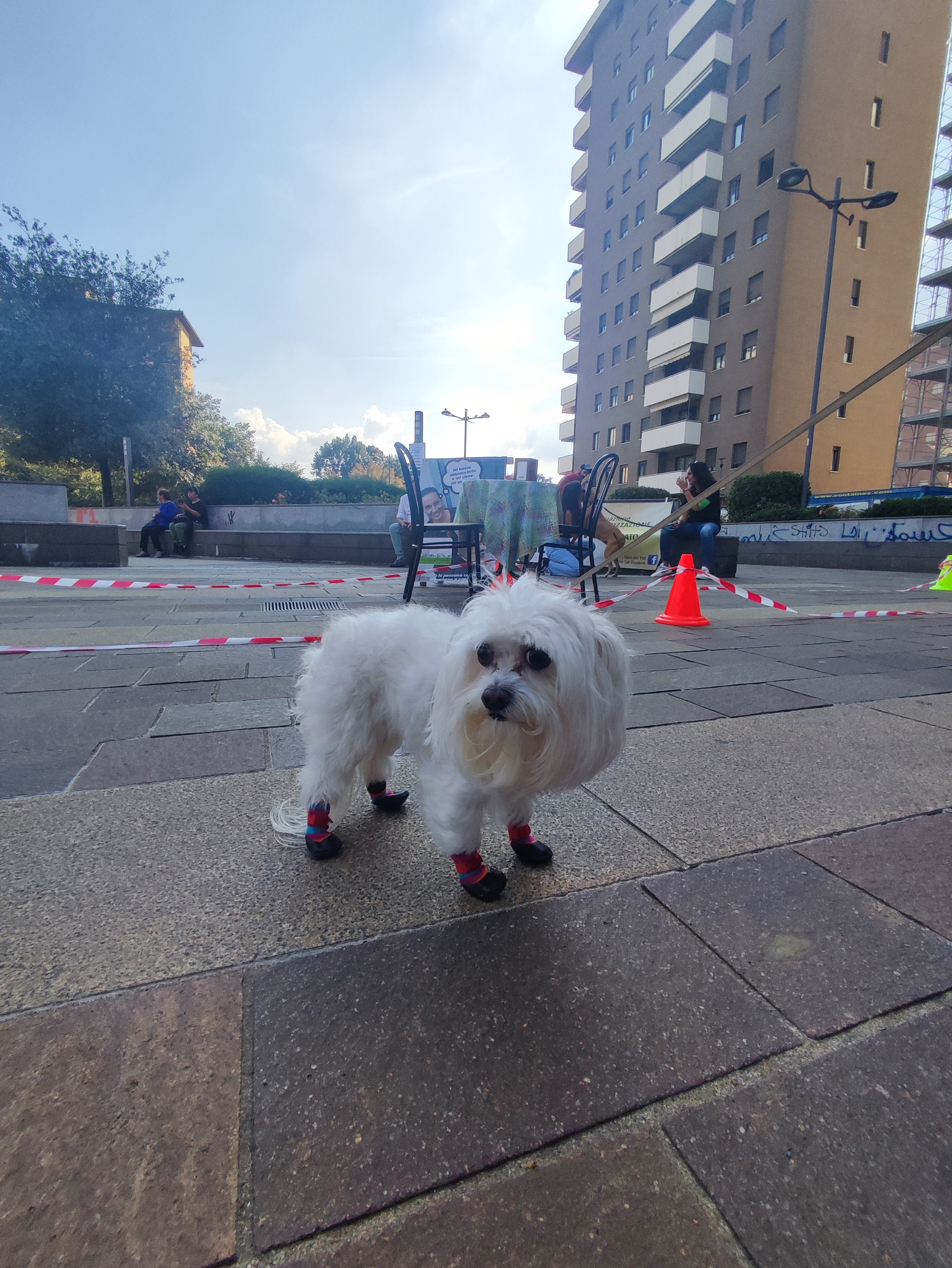 immagine di galleria