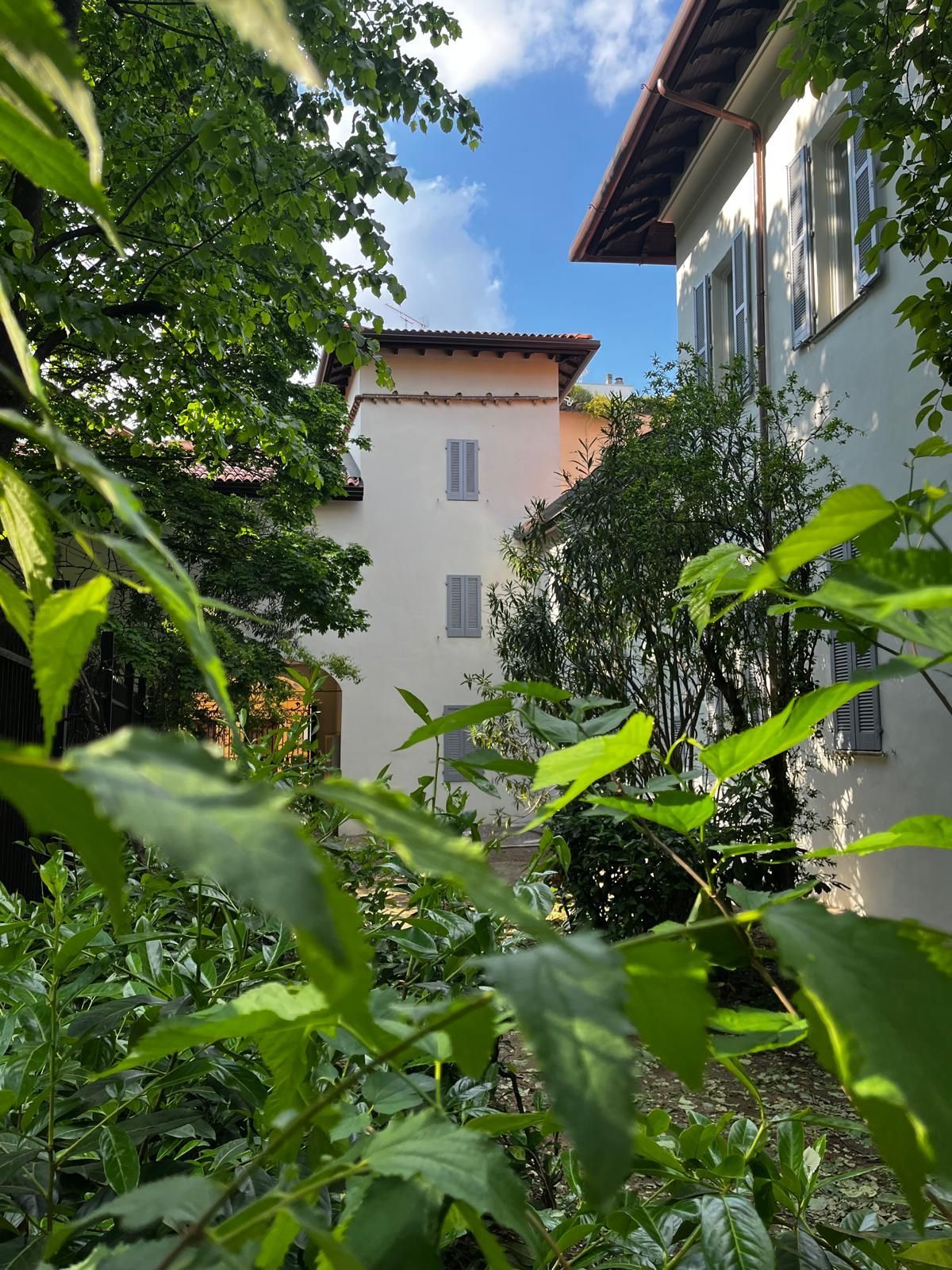 immagine di galleria