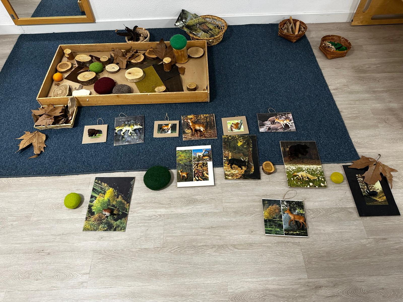 immagine di galleria 'Piccoli & Grandi'