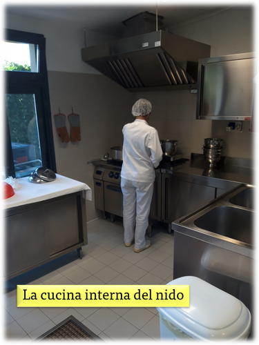 immagine di galleria 'Nido Tonale'