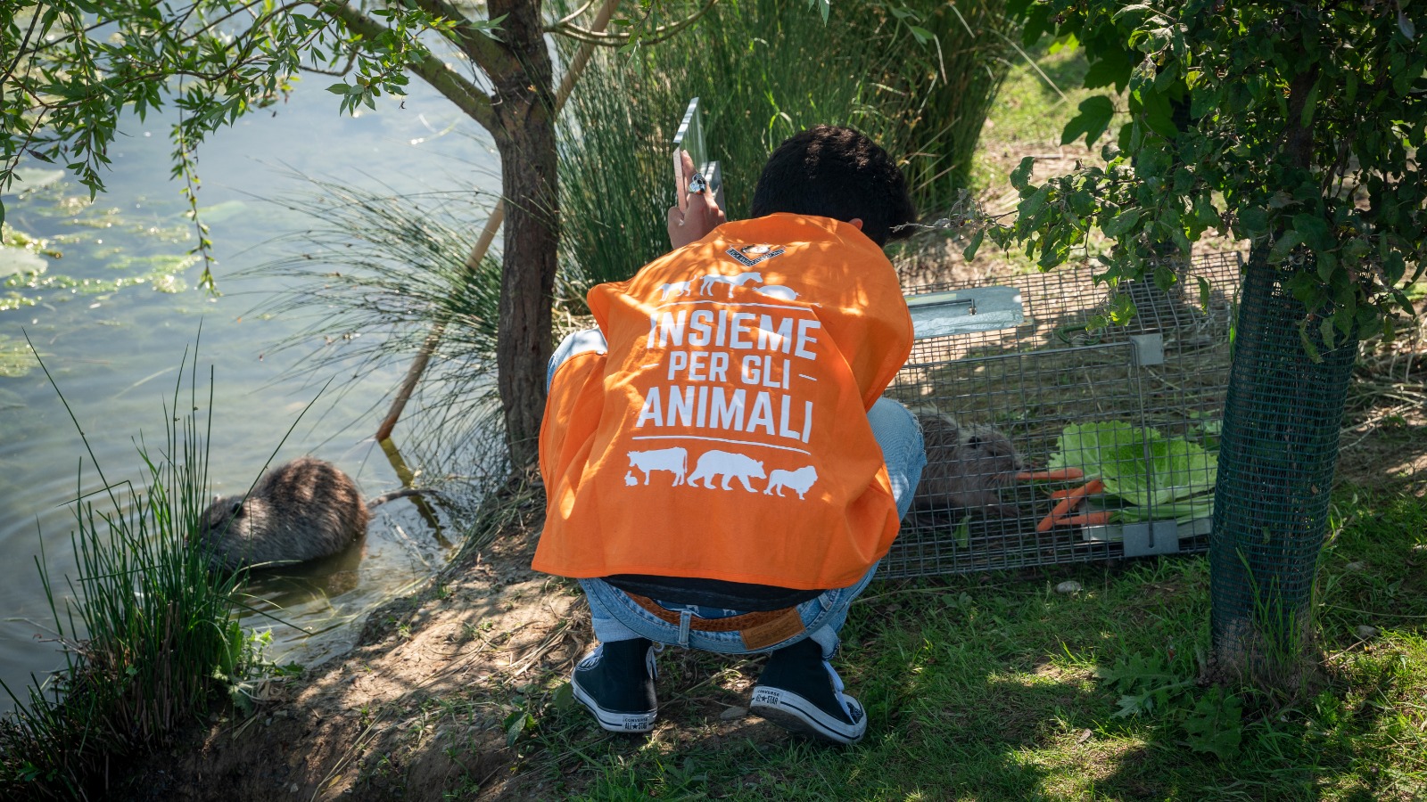 immagine di galleria