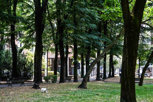 immagine di galleria 'Villa Zorn'