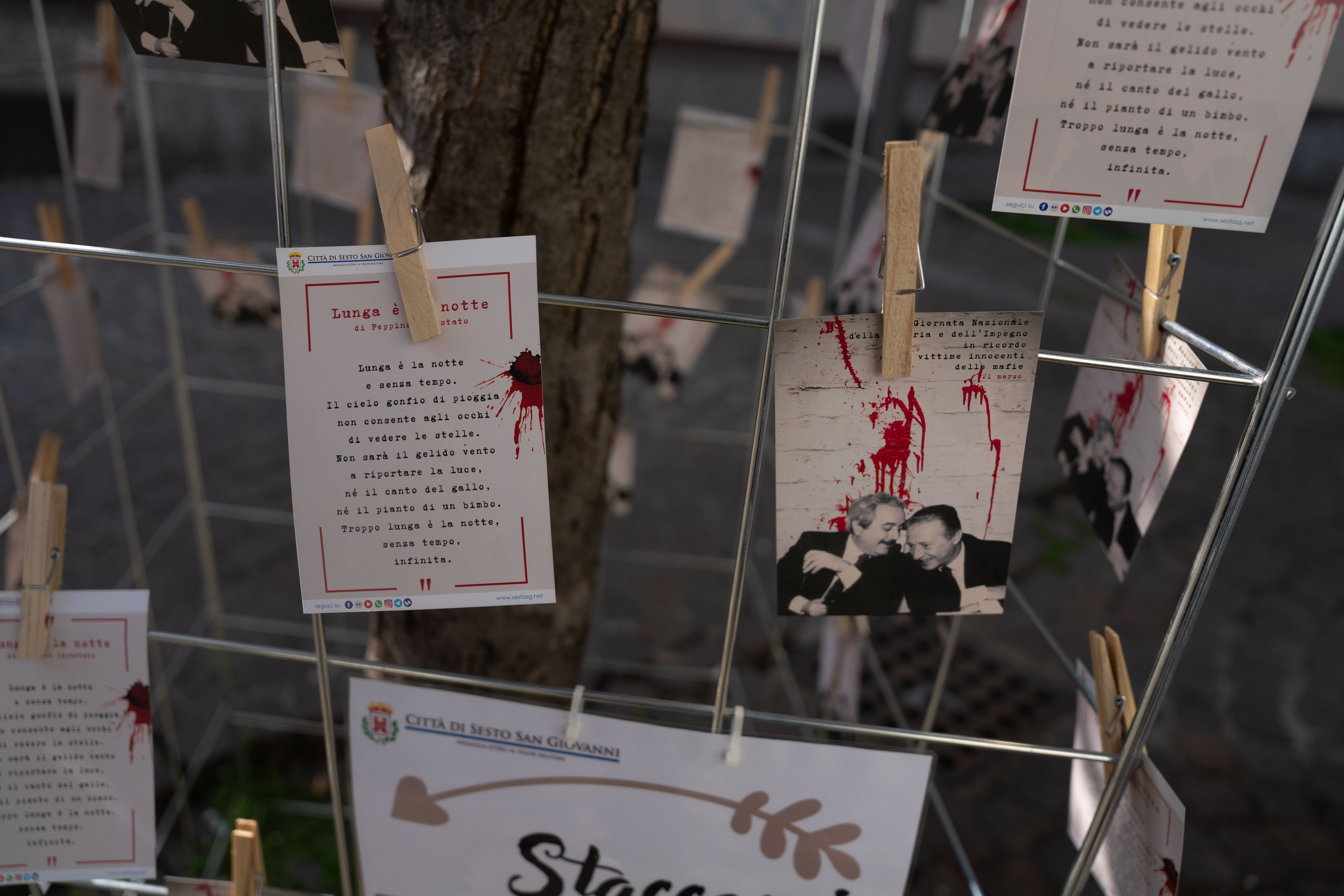 immagine di galleria 'Giornata della Memoria e dell’Impegno in ricordo delle vittime innocenti delle mafie 2023'