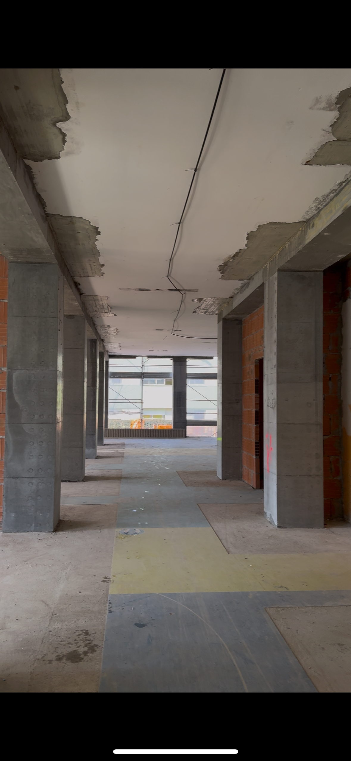 immagine di galleria