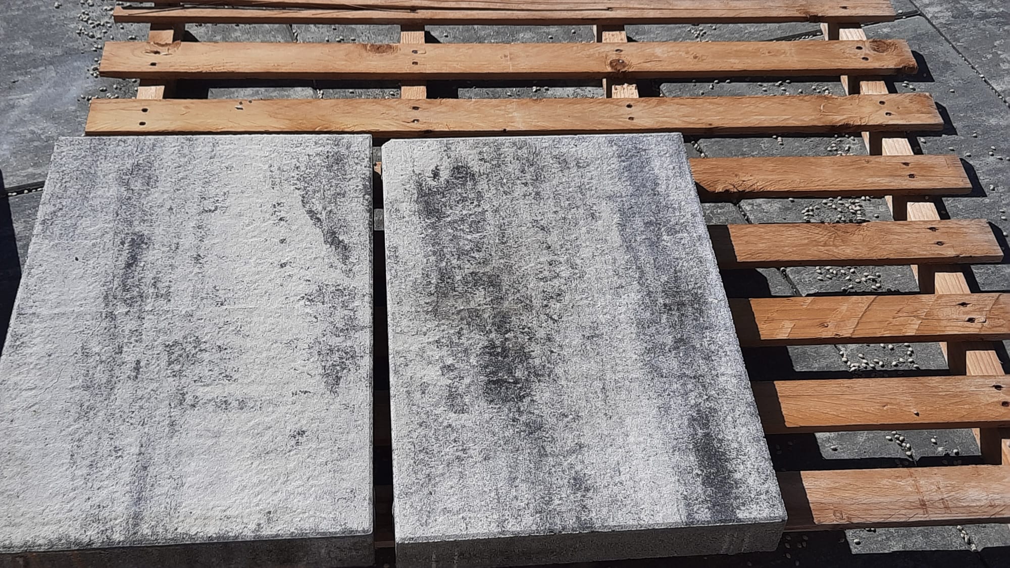 immagine di galleria