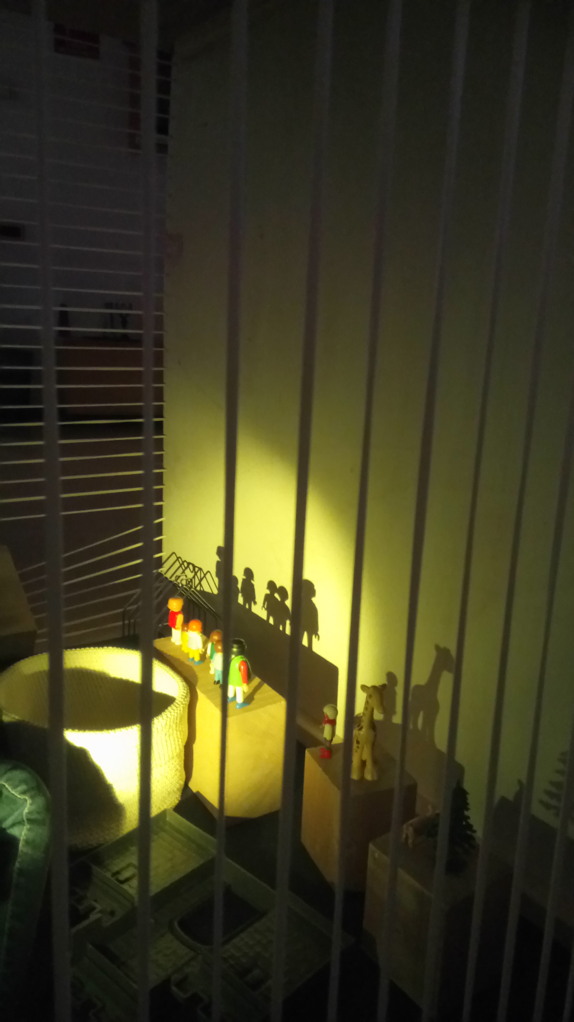 immagine di galleria