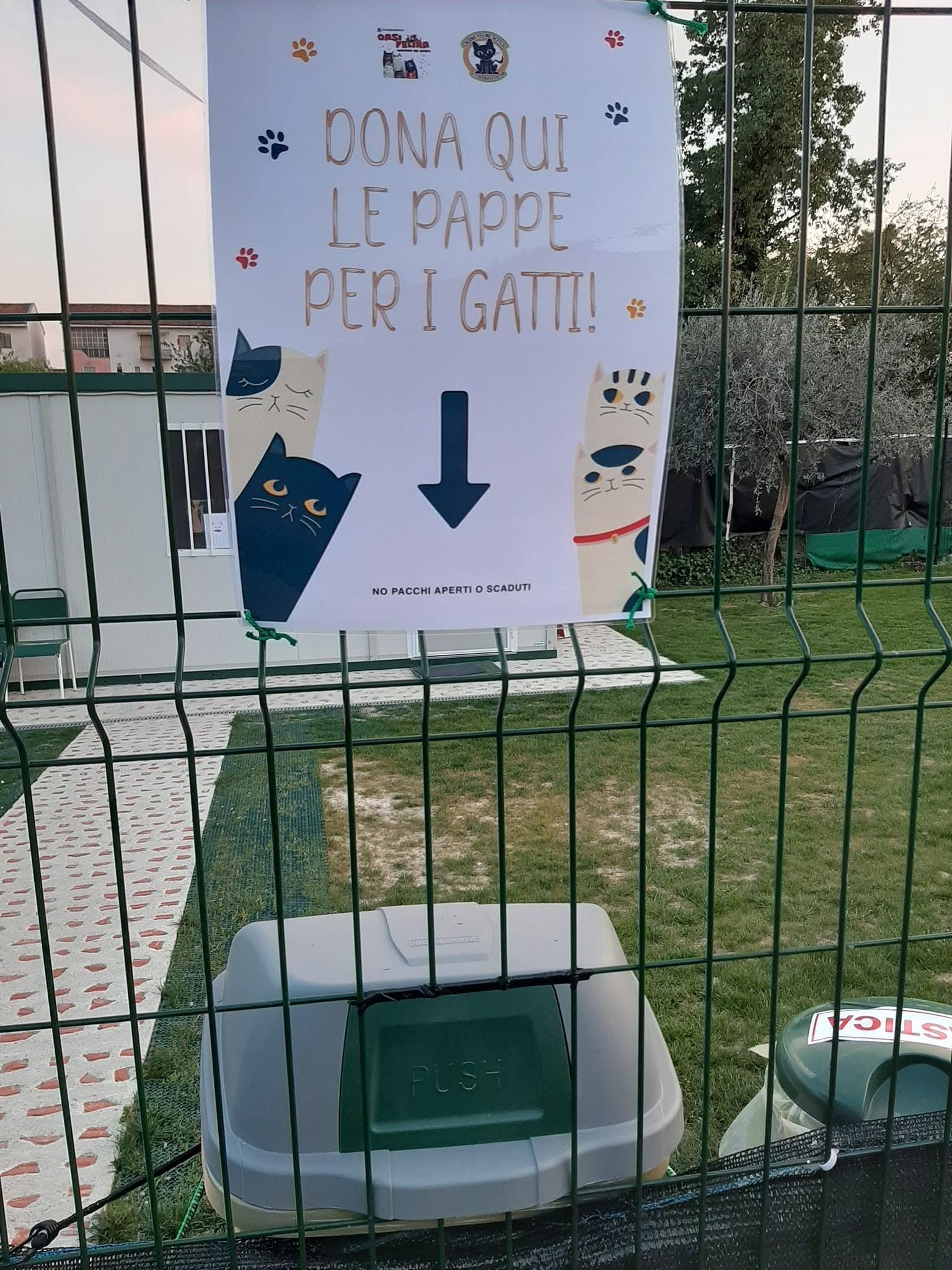 immagine di galleria