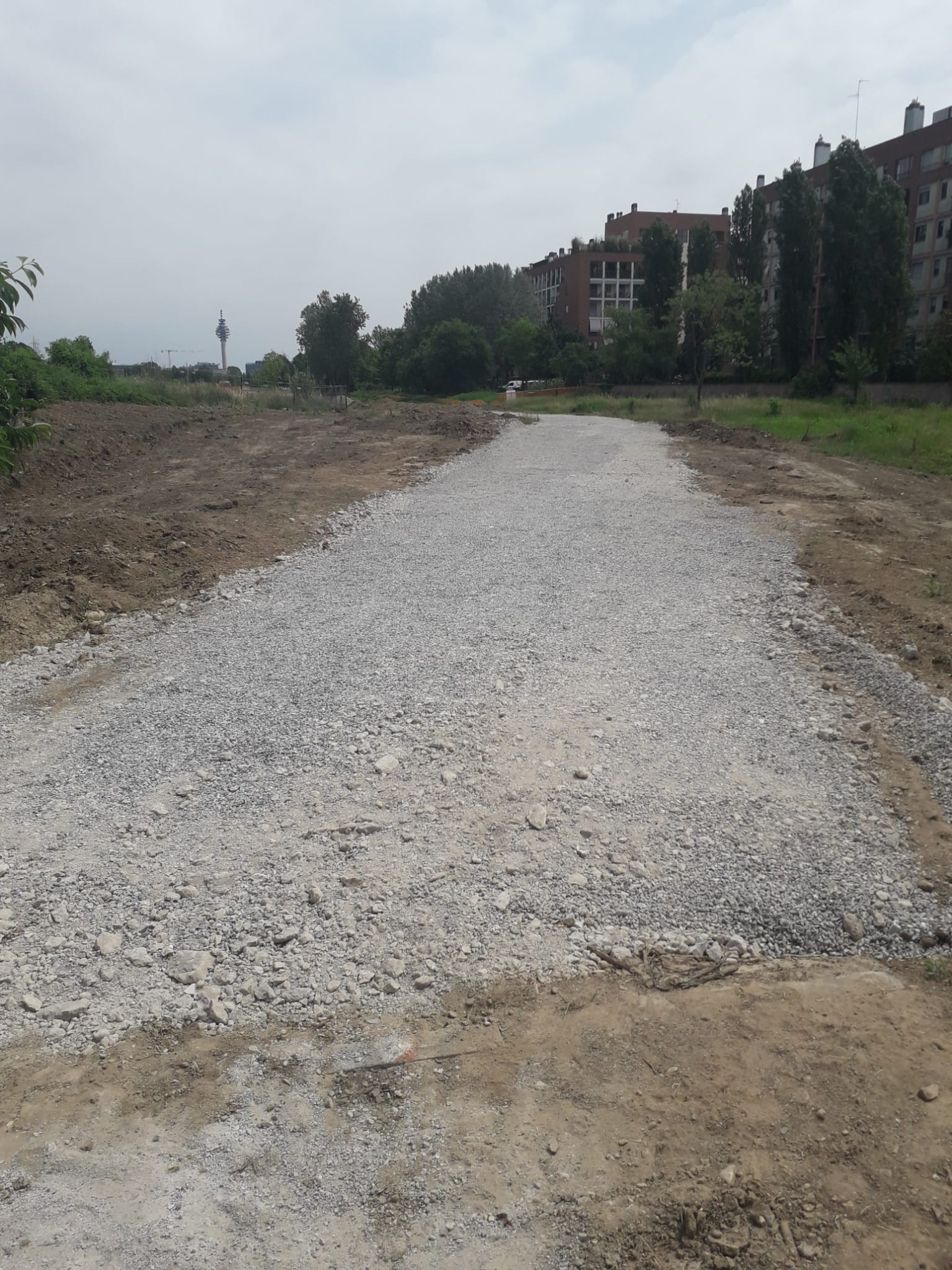 immagine di galleria 'Le reti ciclabili in Città'