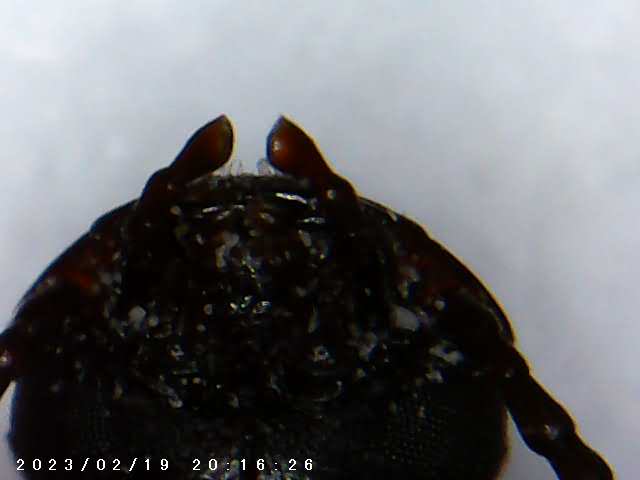 immagine di galleria