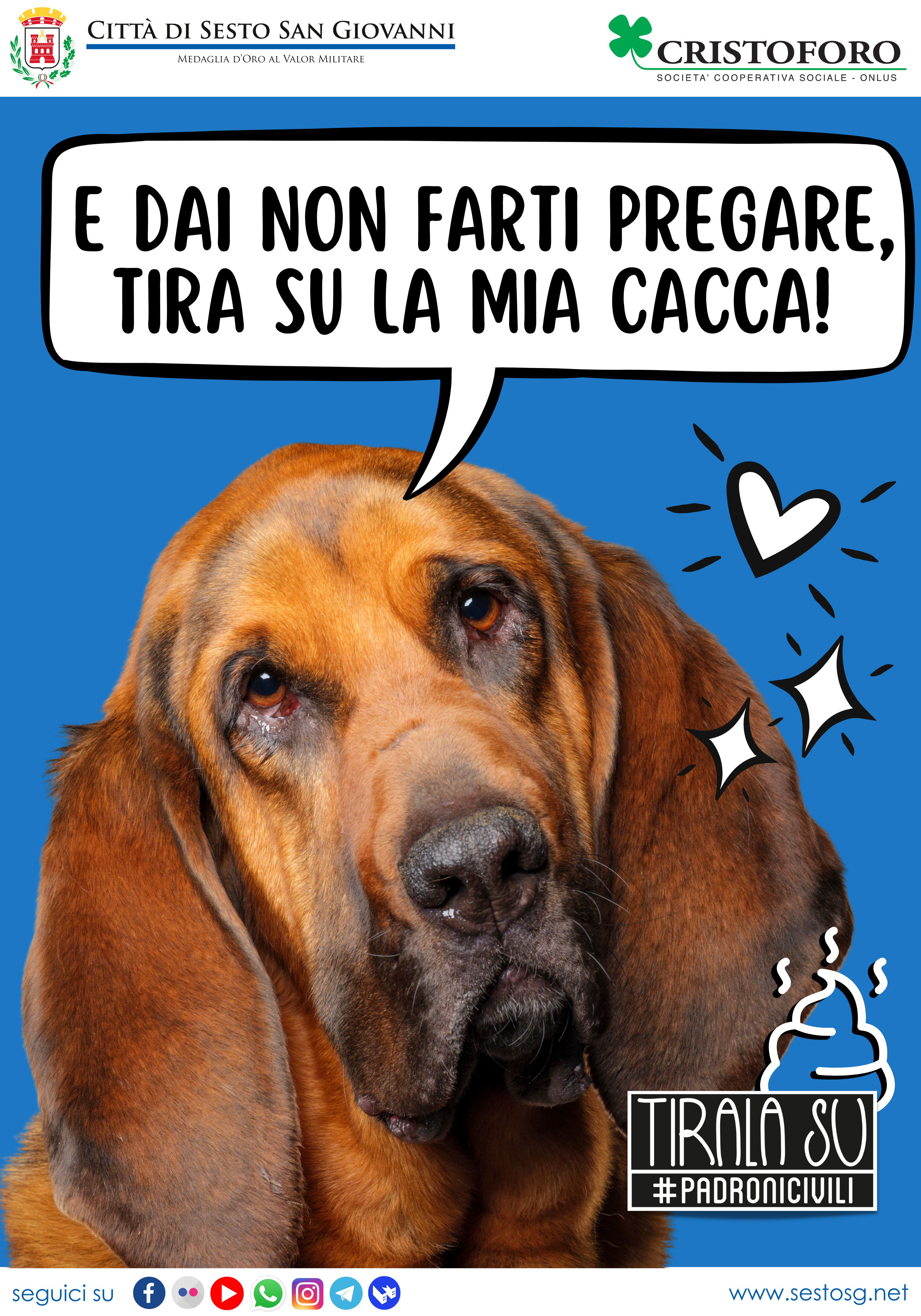 immagine di galleria