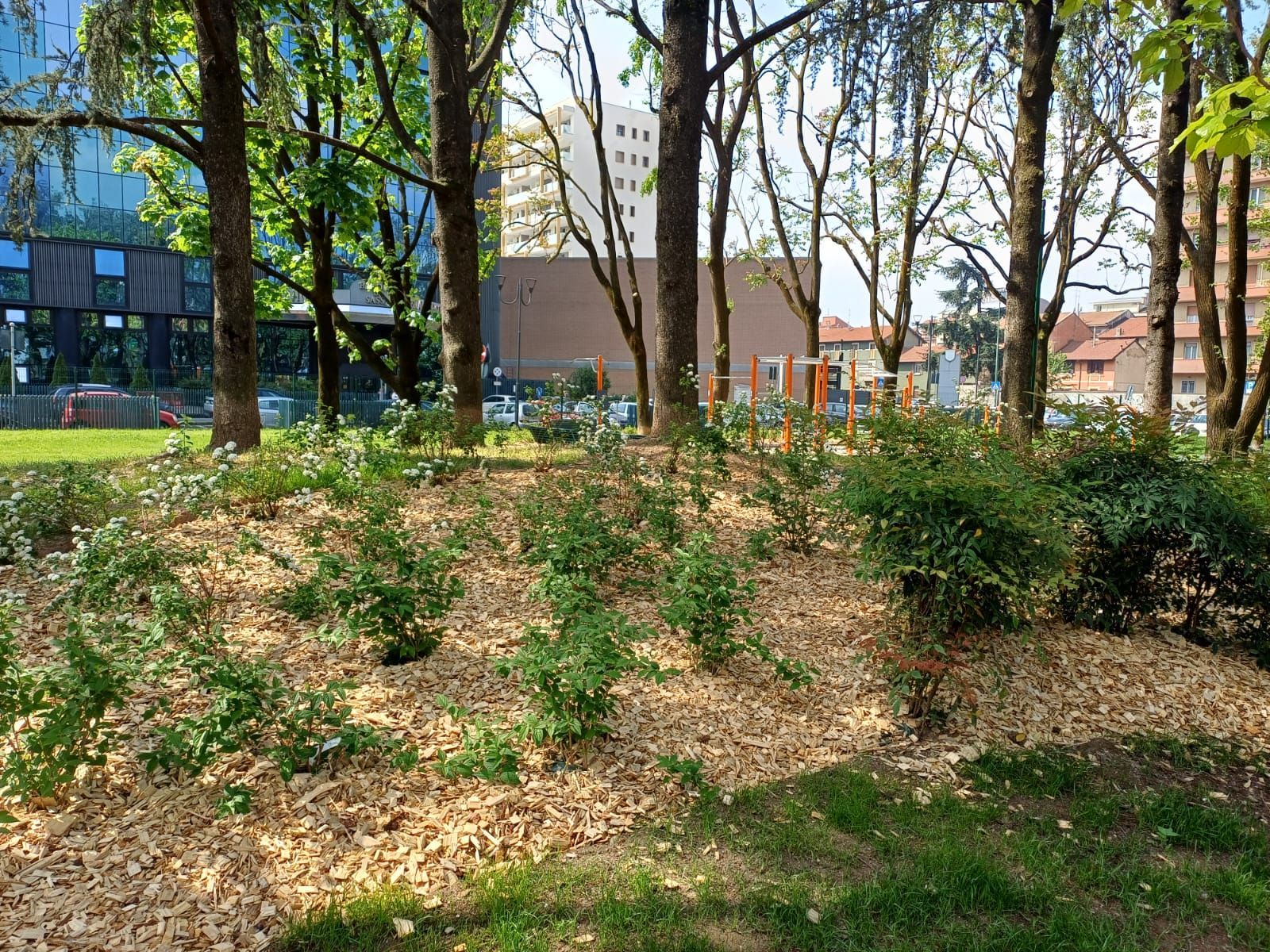 immagine di galleria