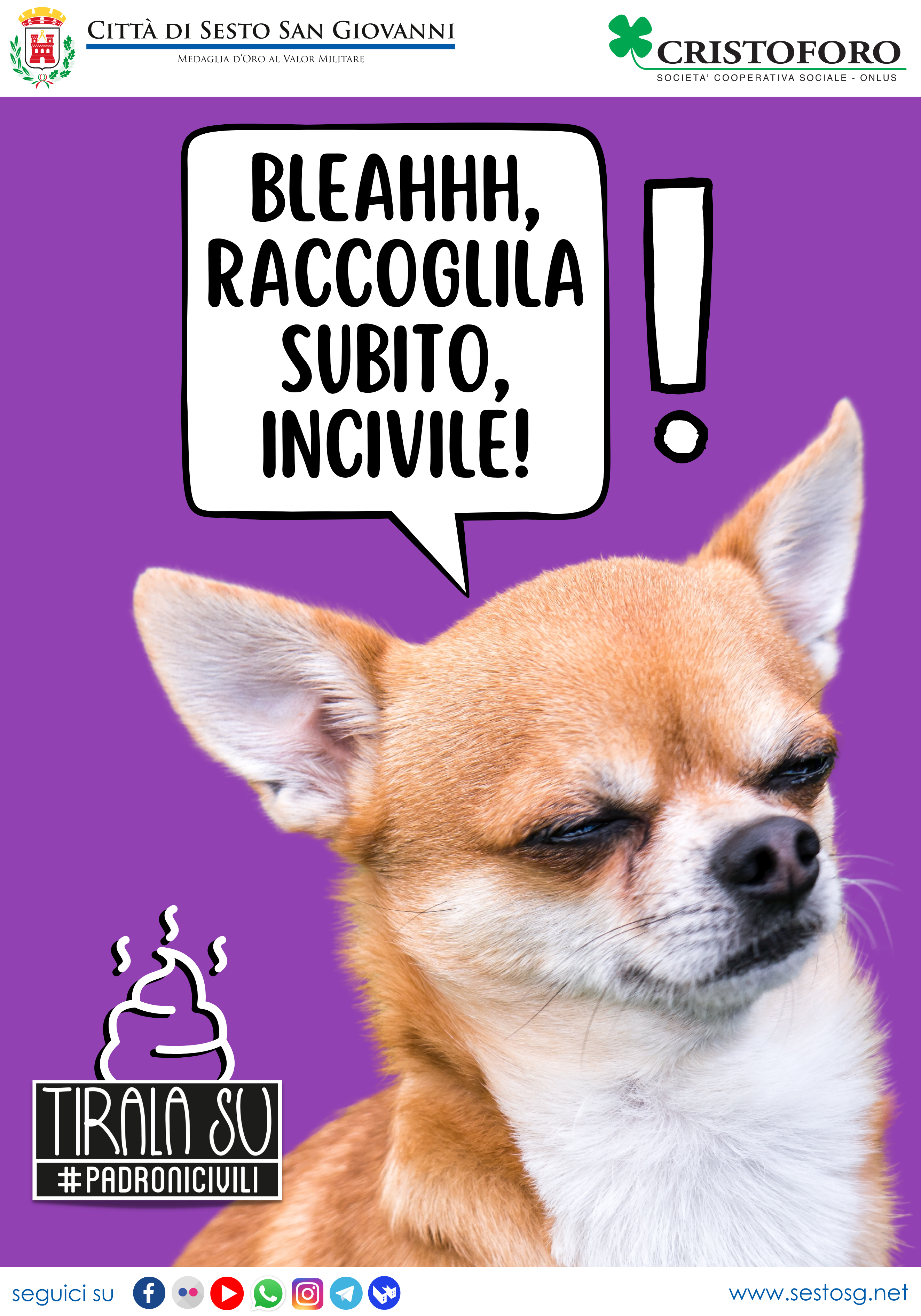 immagine di galleria