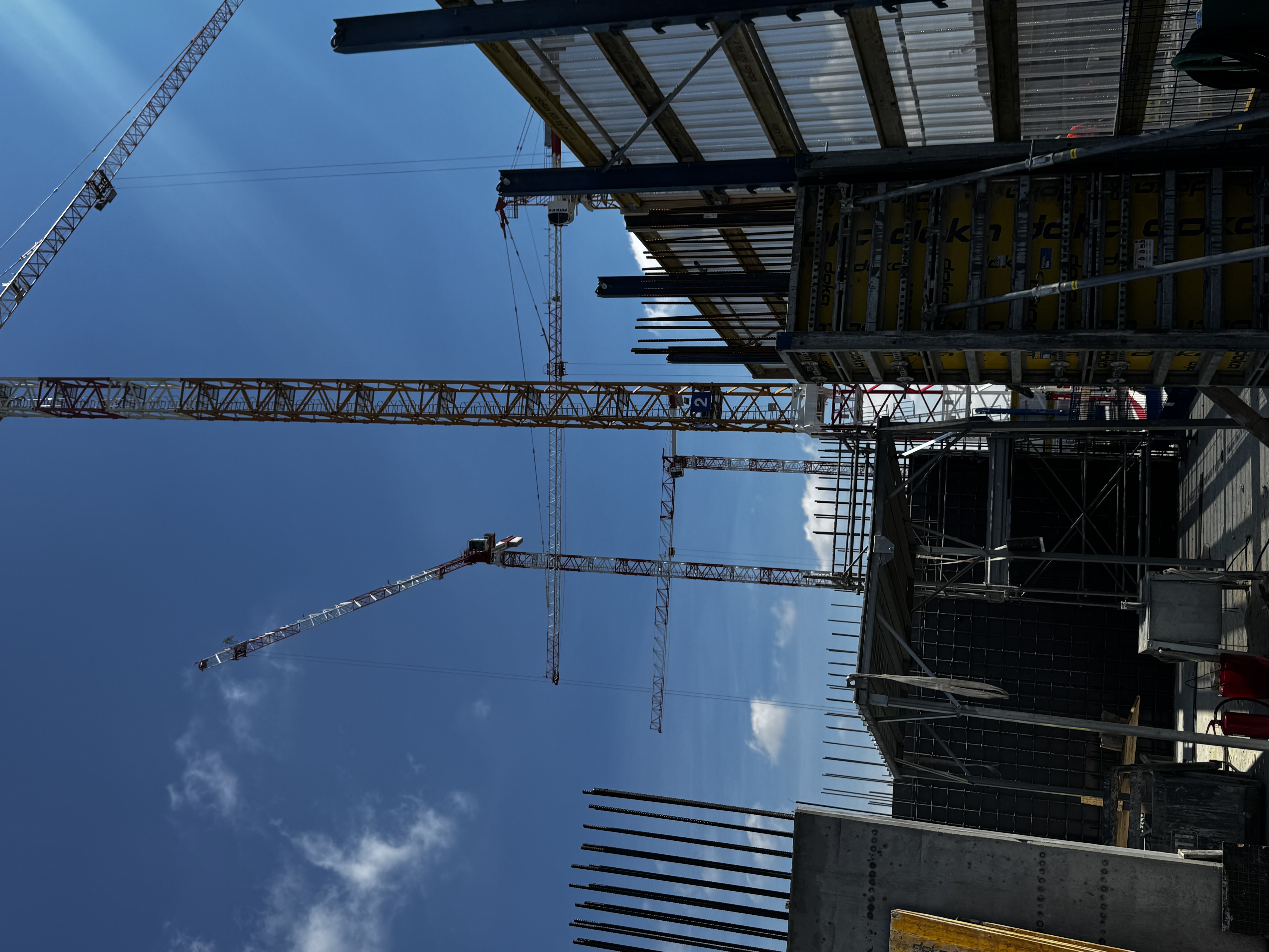 immagine di galleria