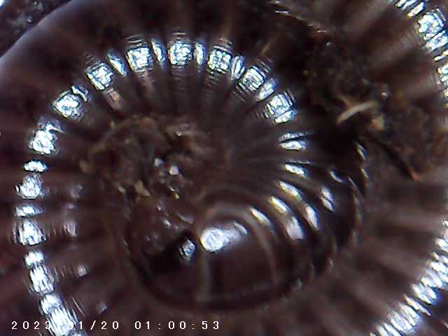 immagine di galleria