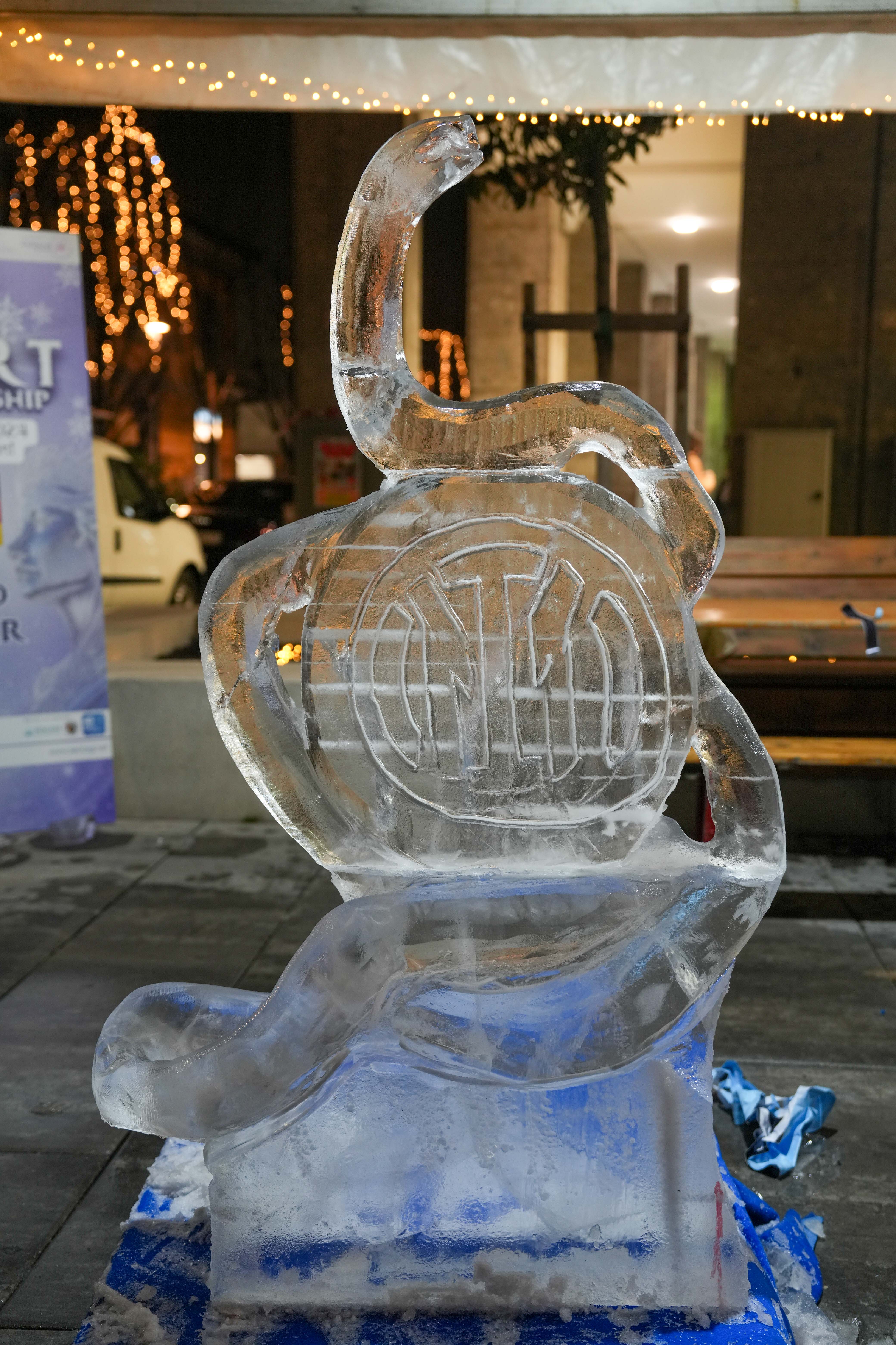 immagine di galleria 'World Ice Art Championship'