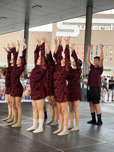 immagine di galleria 'Festa dello Sport, del Volontariato e della Salute 2026'