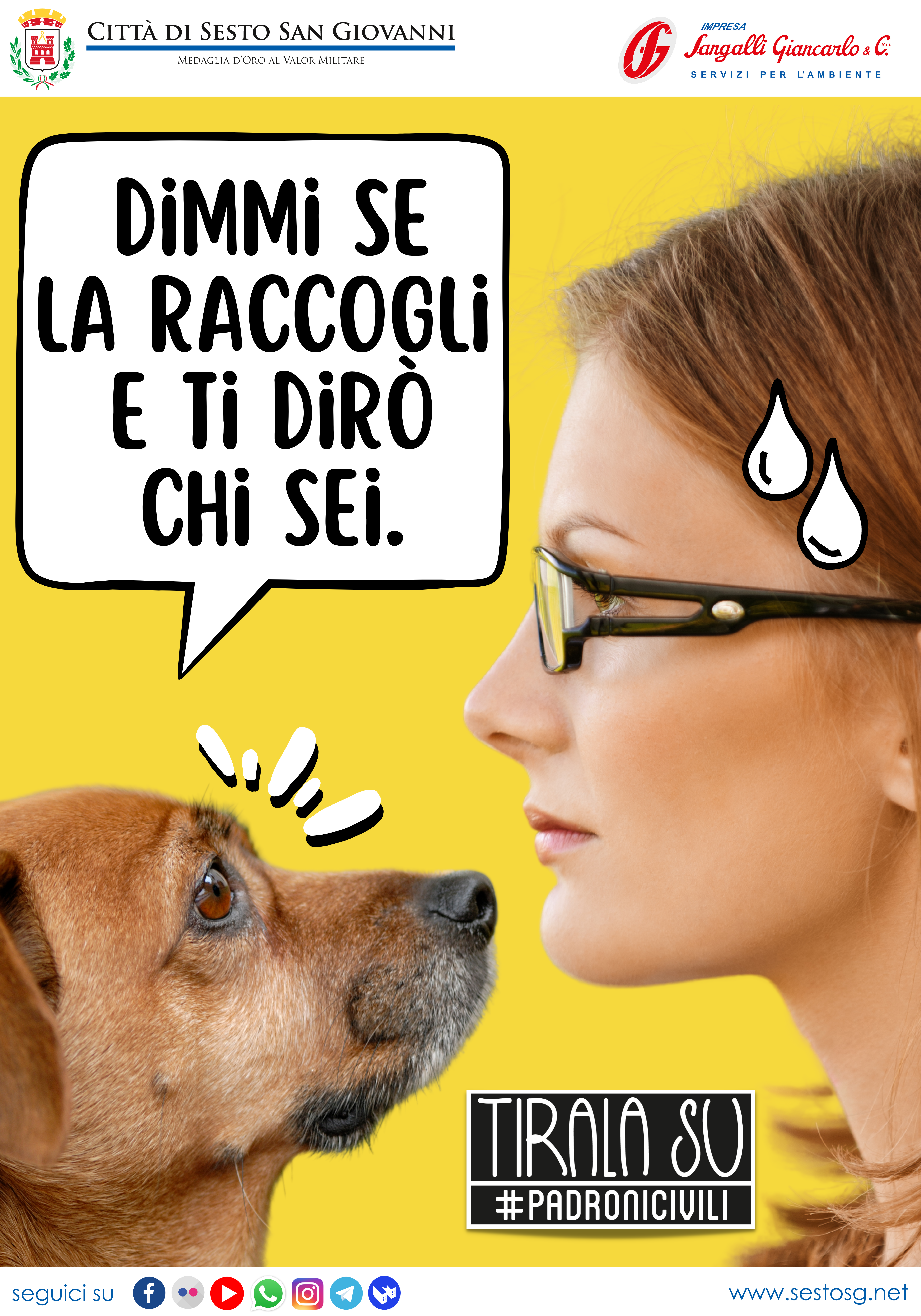 immagine di galleria