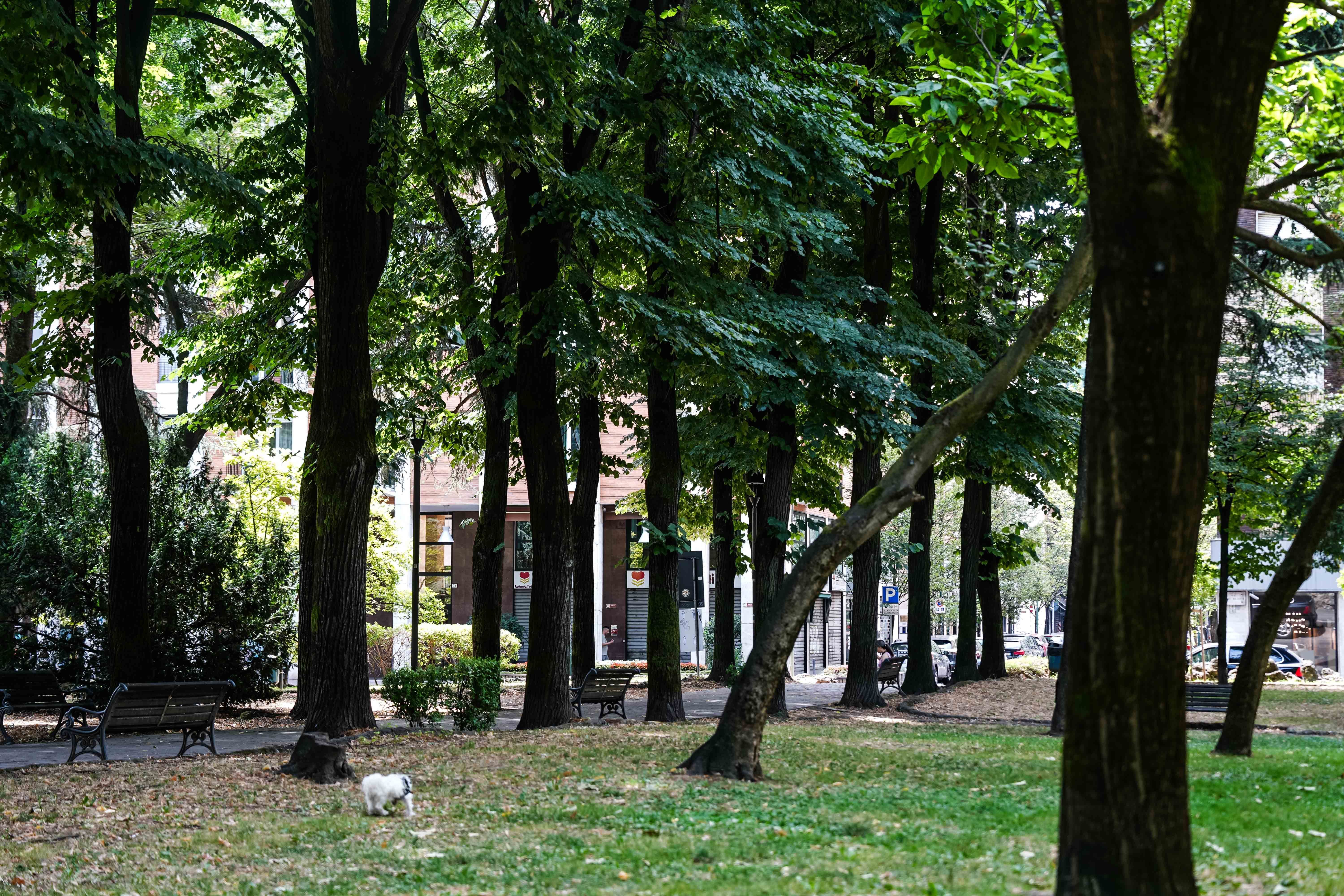 immagine di galleria