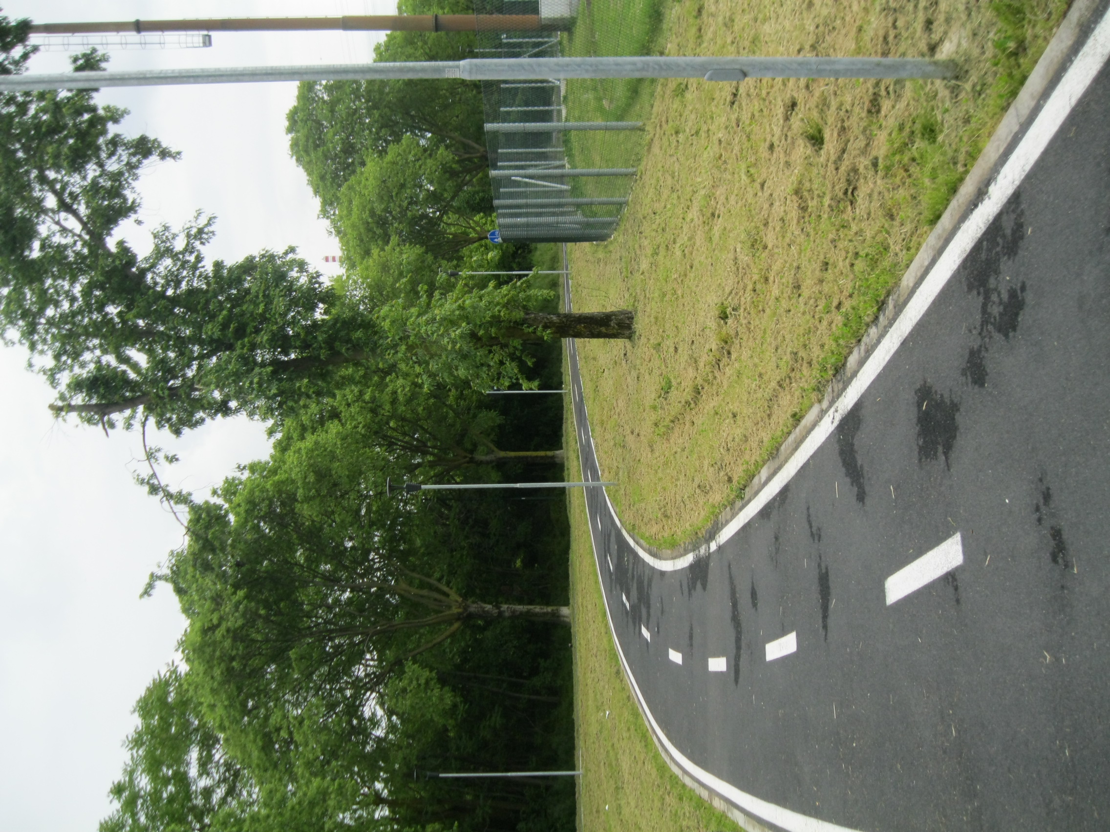 immagine di galleria 'Le reti ciclabili in Città'