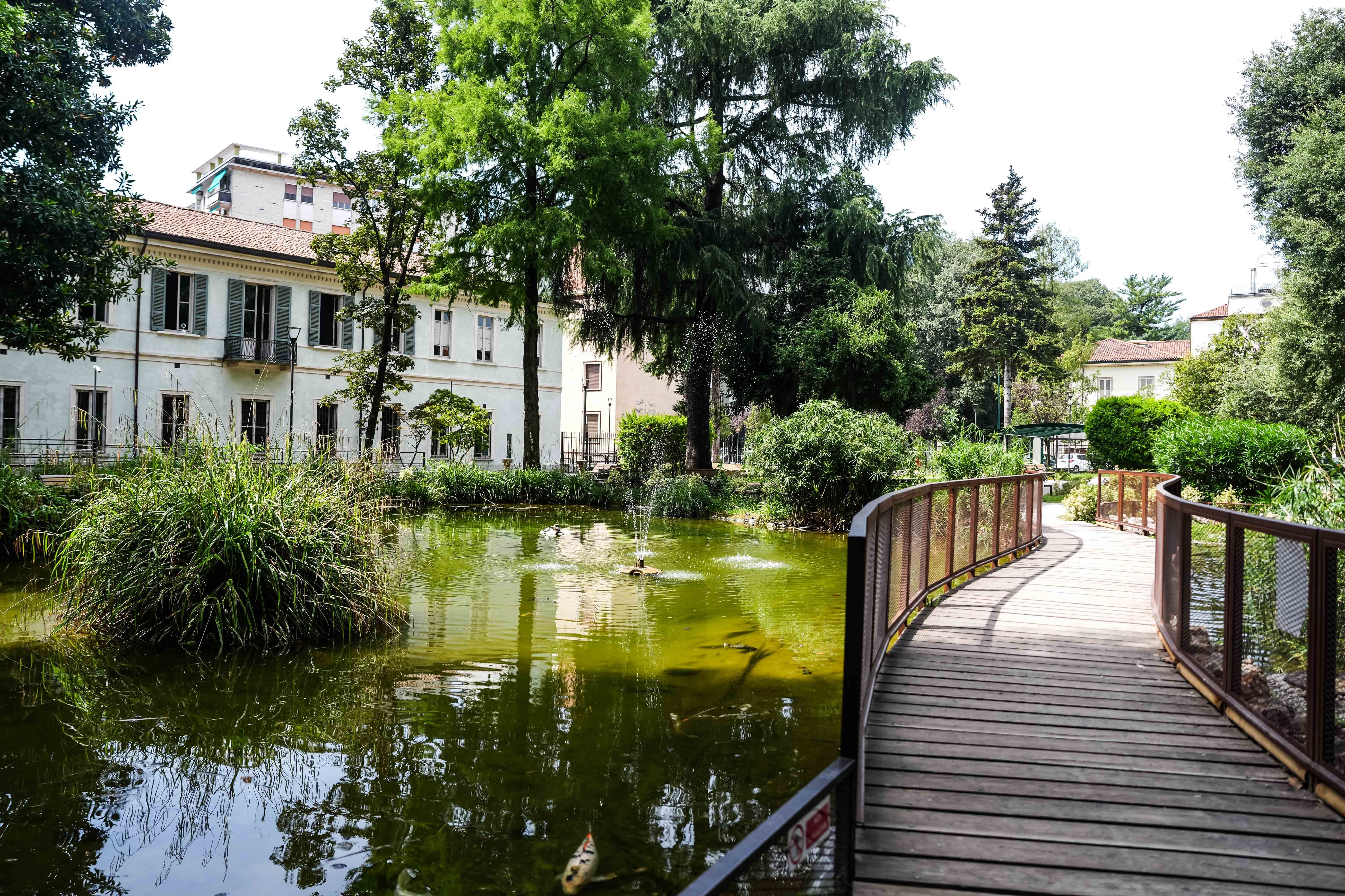 immagine di galleria