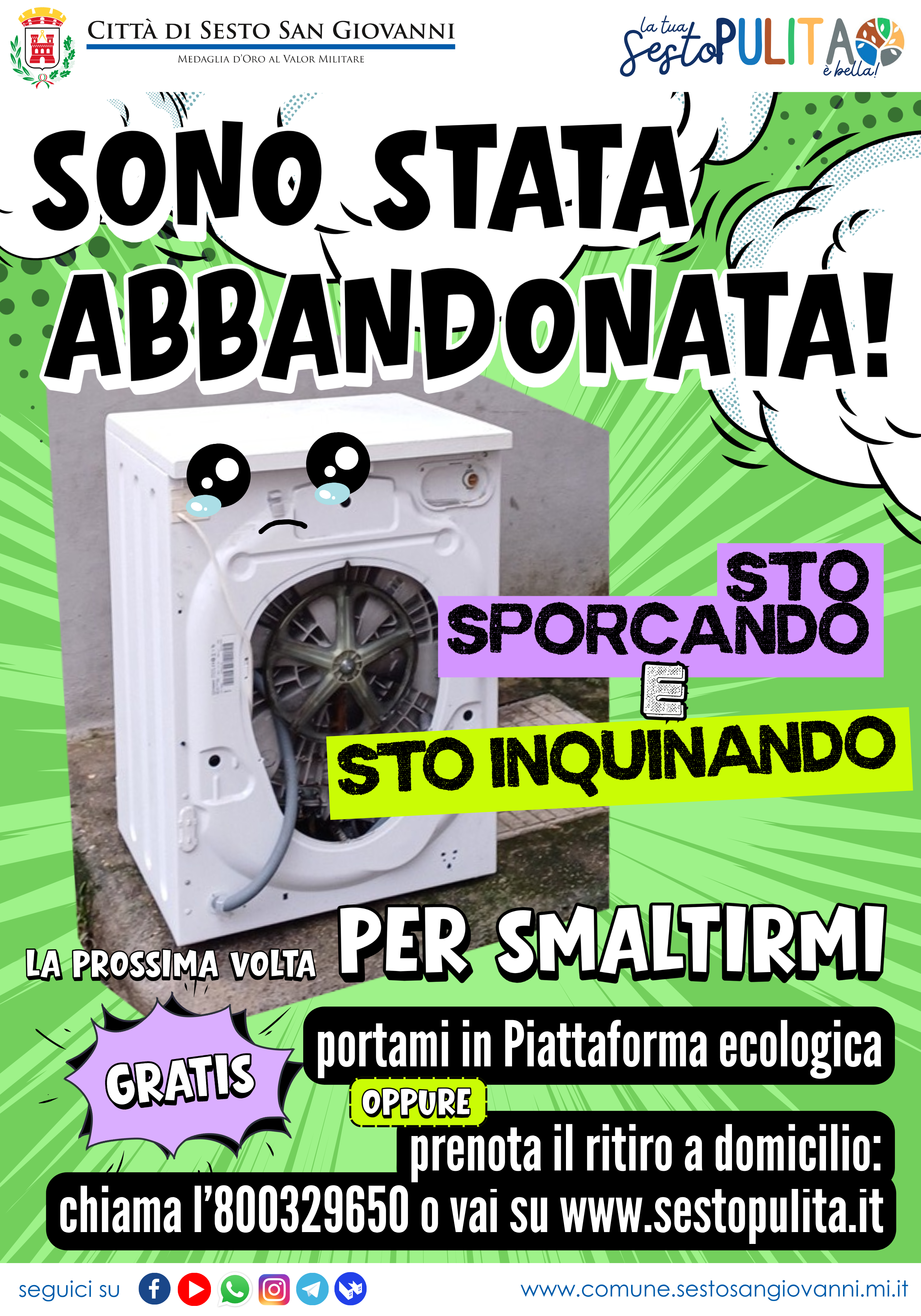 immagine di galleria