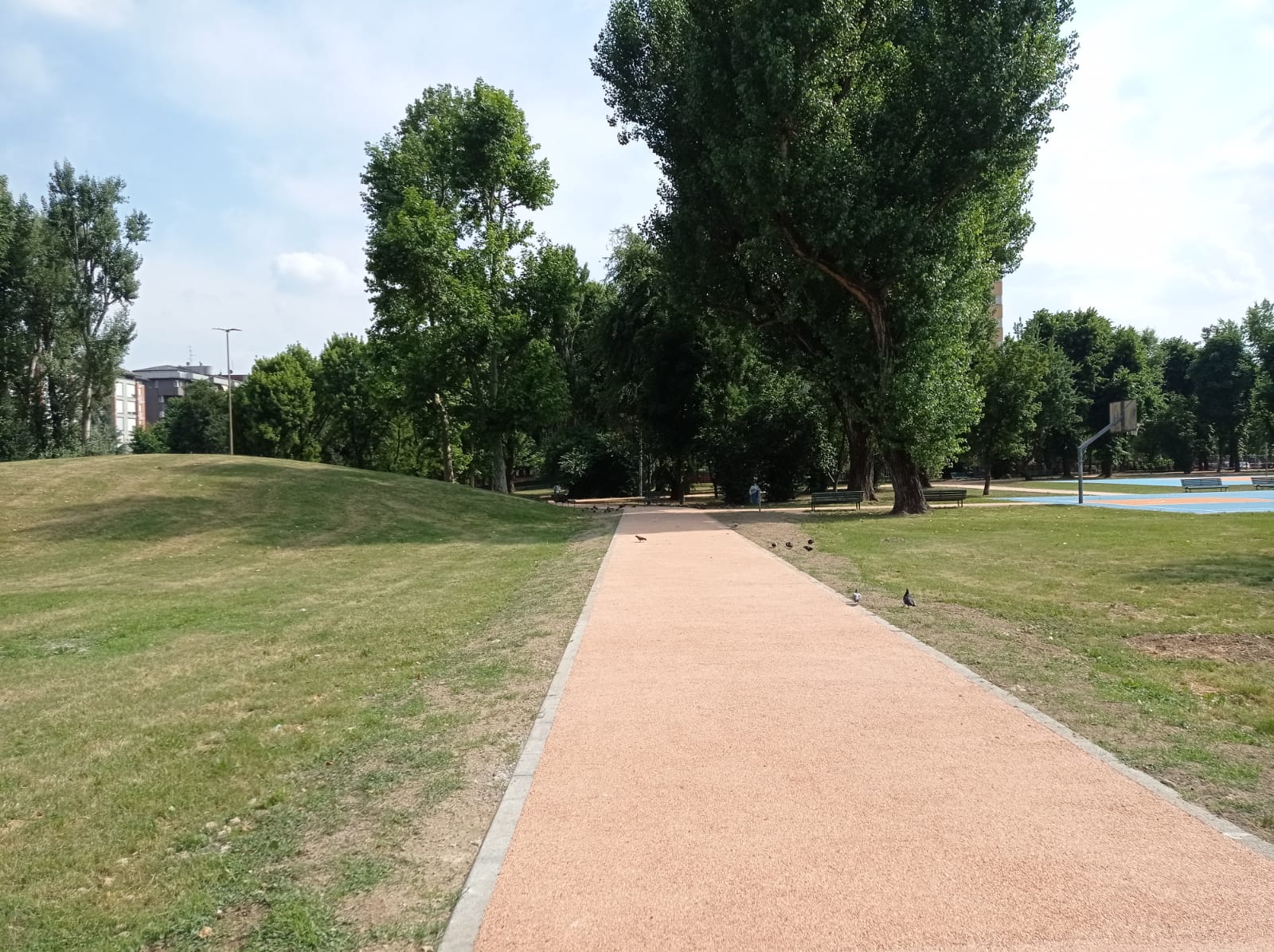 immagine di galleria