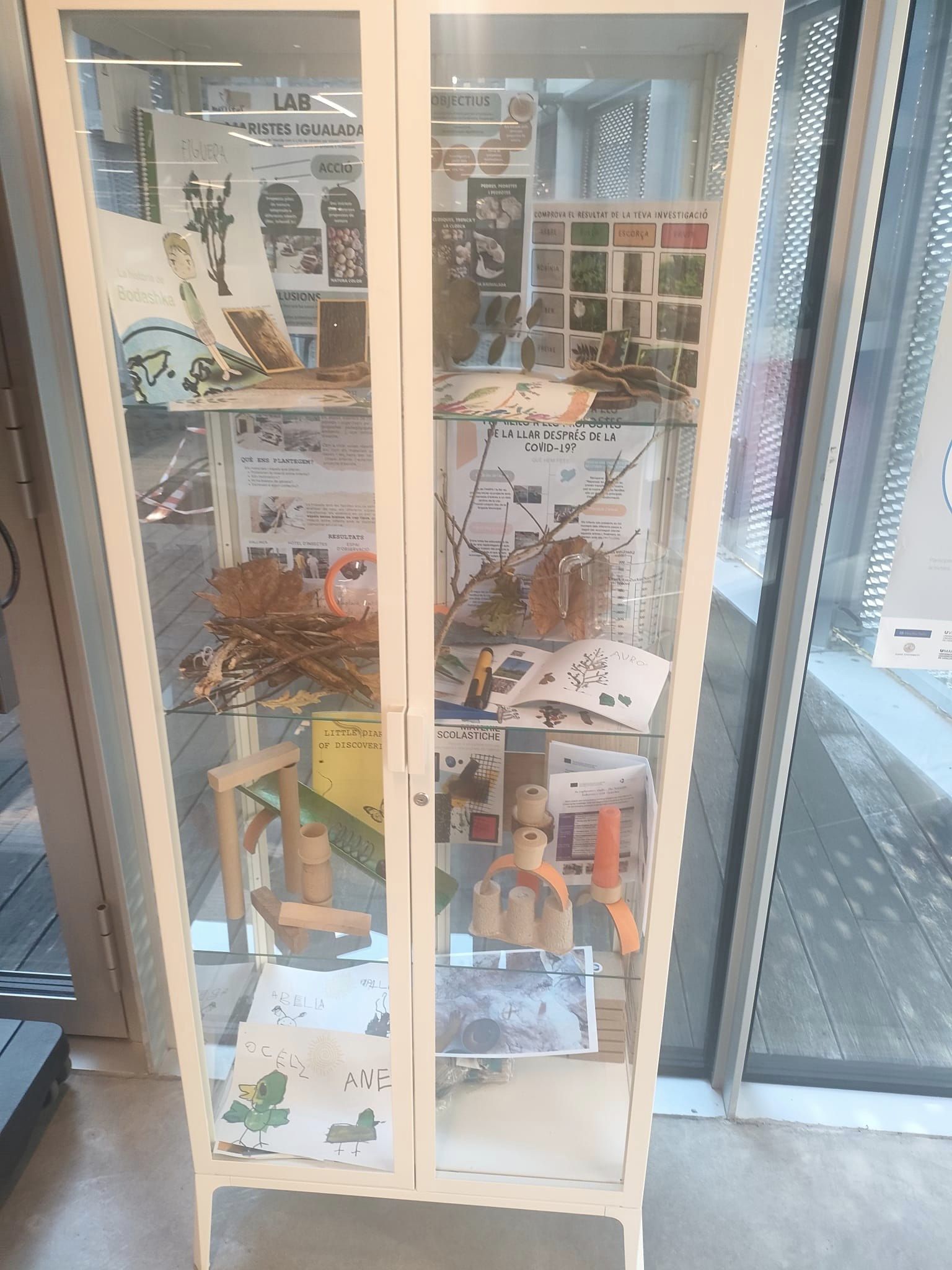 immagine di galleria