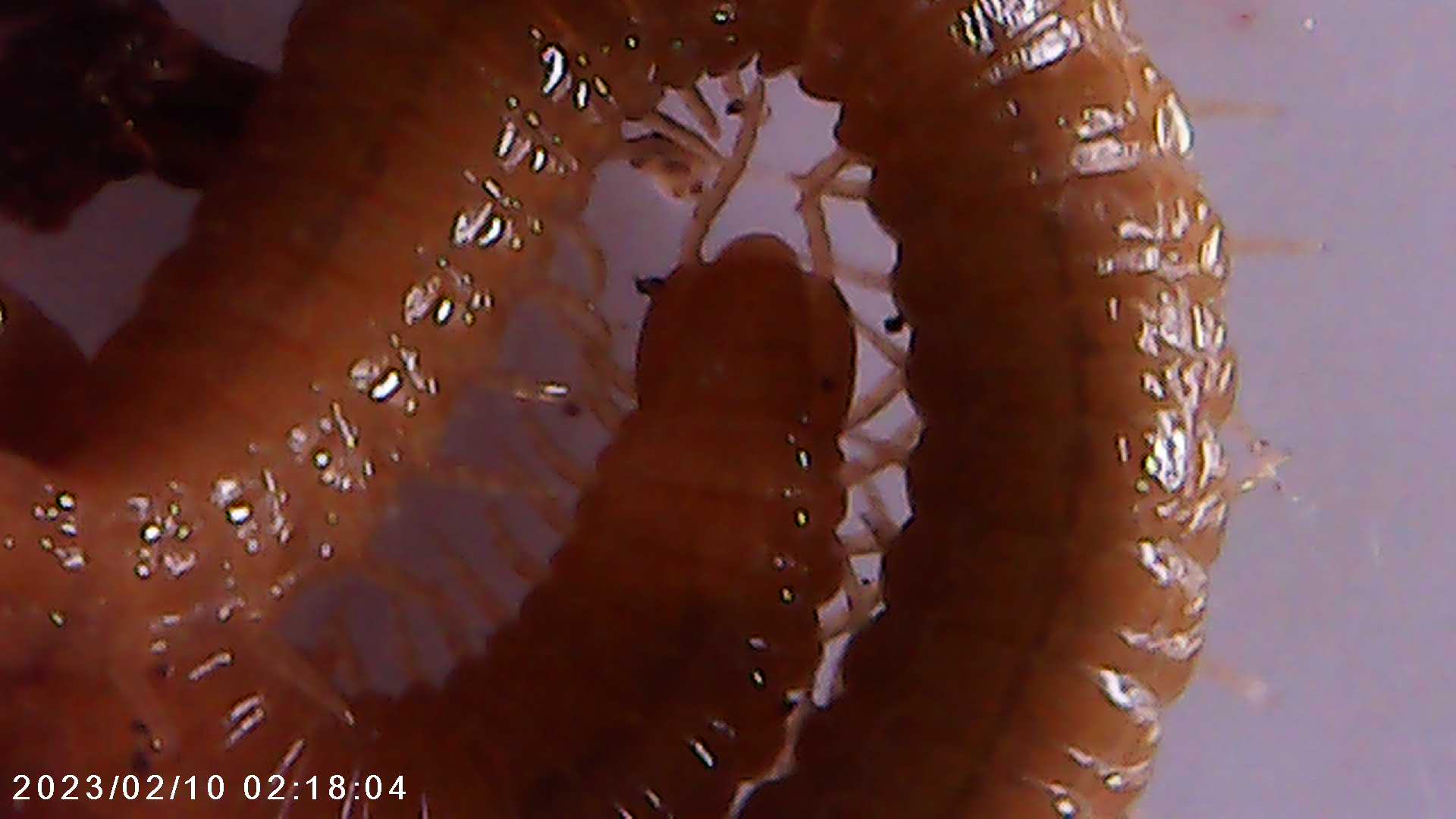 immagine di galleria