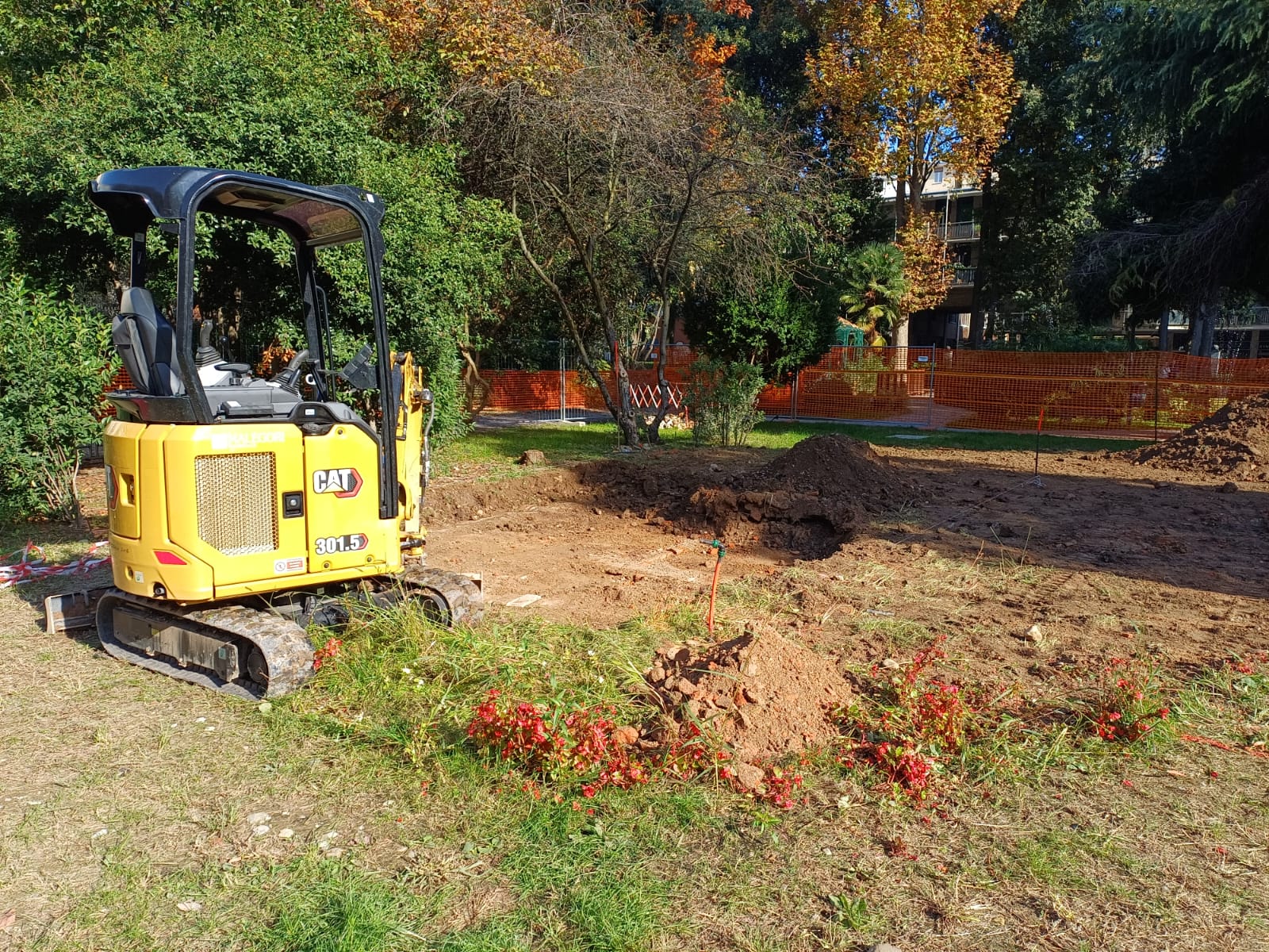 immagine di galleria