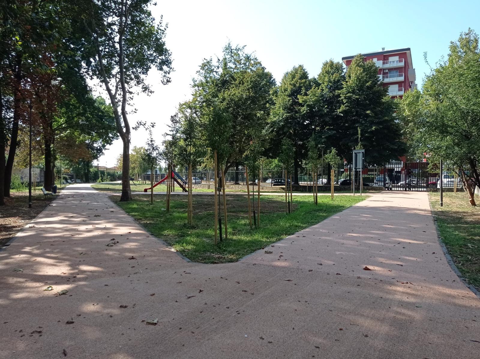 immagine di galleria