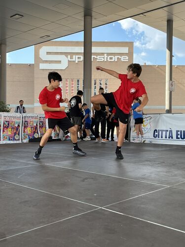 immagine di galleria 'Festa dello Sport, del Volontariato e della Salute 2026'