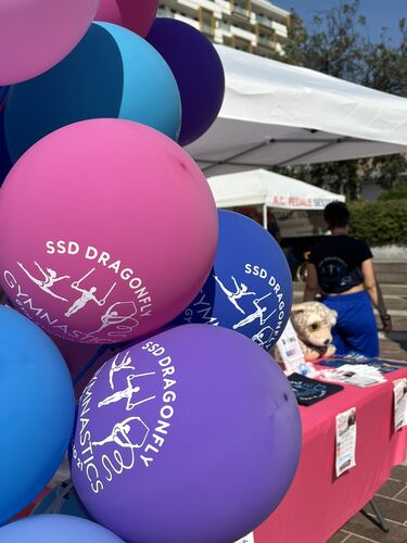 immagine di galleria 'Festa dello Sport, del Volontariato e della Salute 2026'